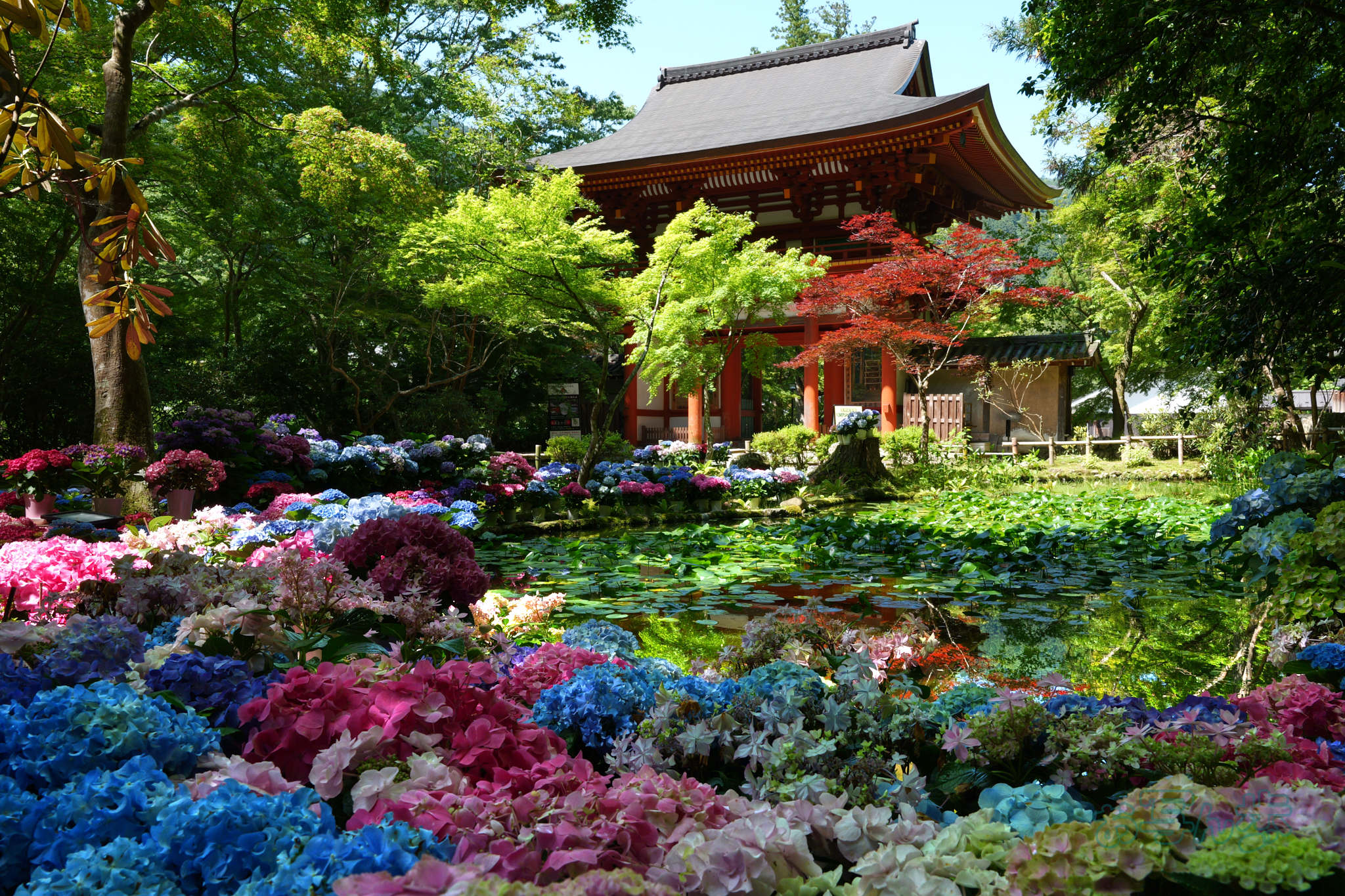 https://www.yaotomi.co.jp/blog/walk/PS121431co%2C28%20mm%2CF11%2Ciso320%28JPEG%29.jpg