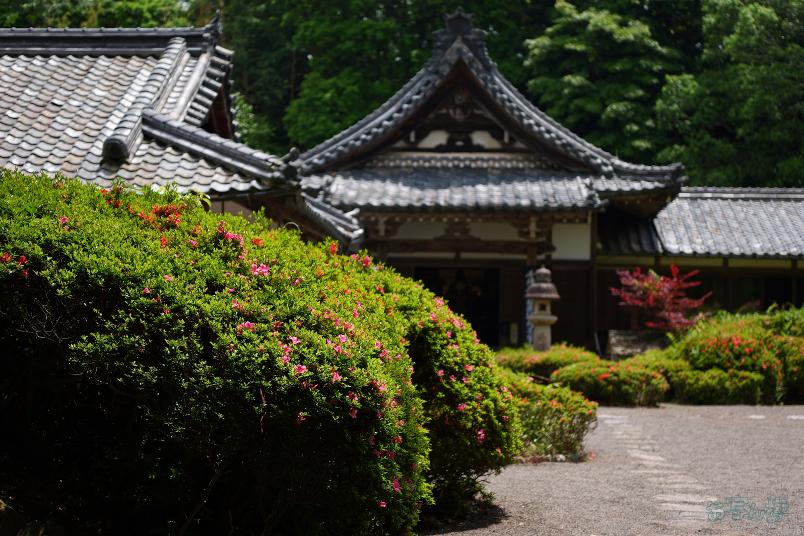 https://www.yaotomi.co.jp/blog/walk/PS122295%2C40%20mm%2CF1.8%2C1-3200%20%E7%A7%92%2Ciso100%28JPEG%29.jpg