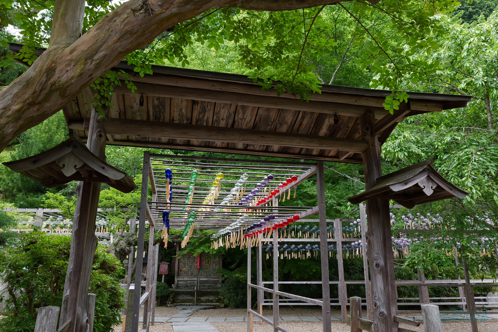 https://www.yaotomi.co.jp/blog/walk/PS122571%2C17%20mm%2CF9%2C1-60%20%E7%A7%92%2Ciso640%28JPEG%29.jpg