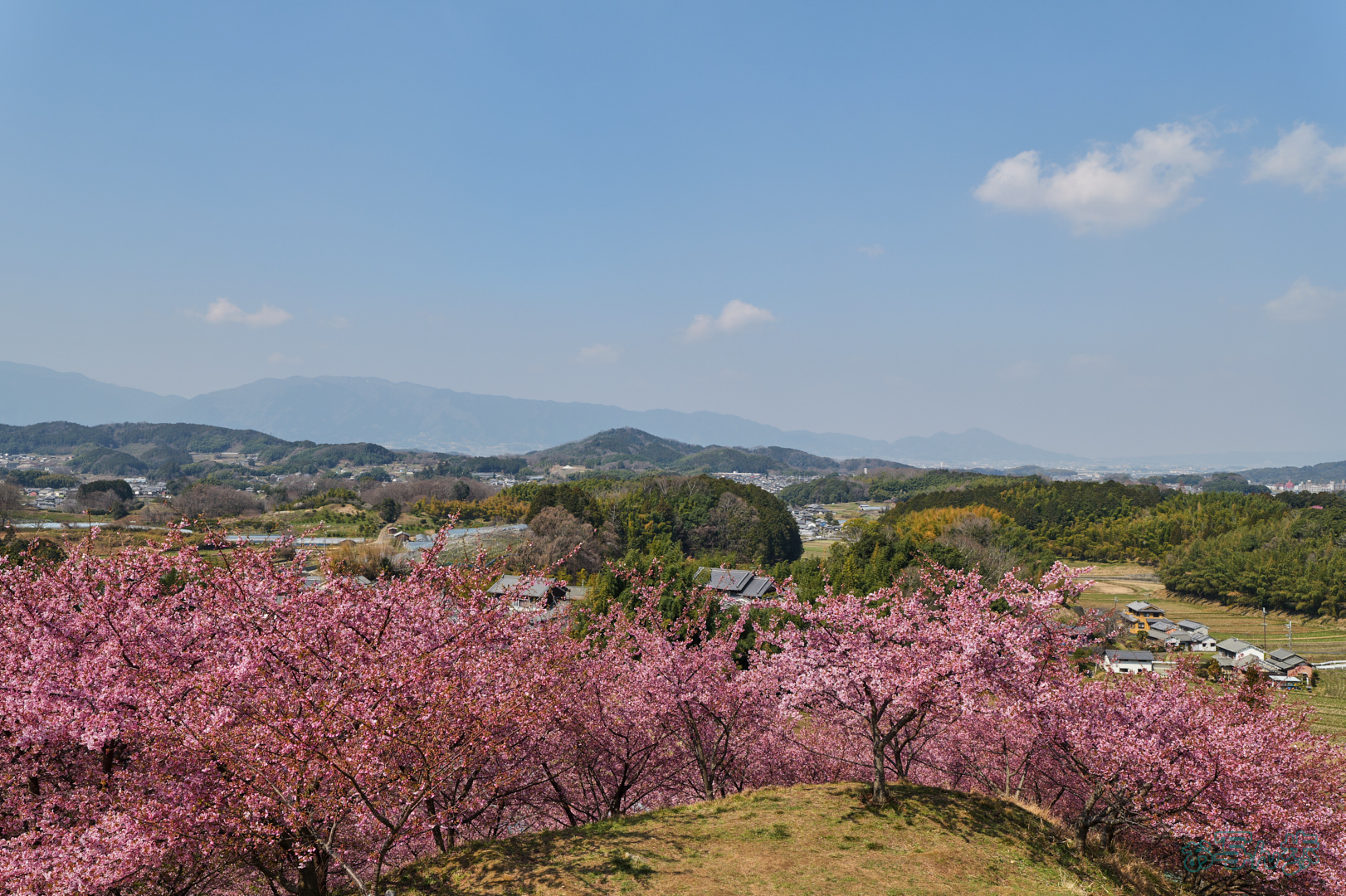 https://www.yaotomi.co.jp/blog/walk/PS1R1852%2C28%20mm%2CF8%2C1-250%20%E7%A7%92%2Ciso80%28JPEG%29.jpg