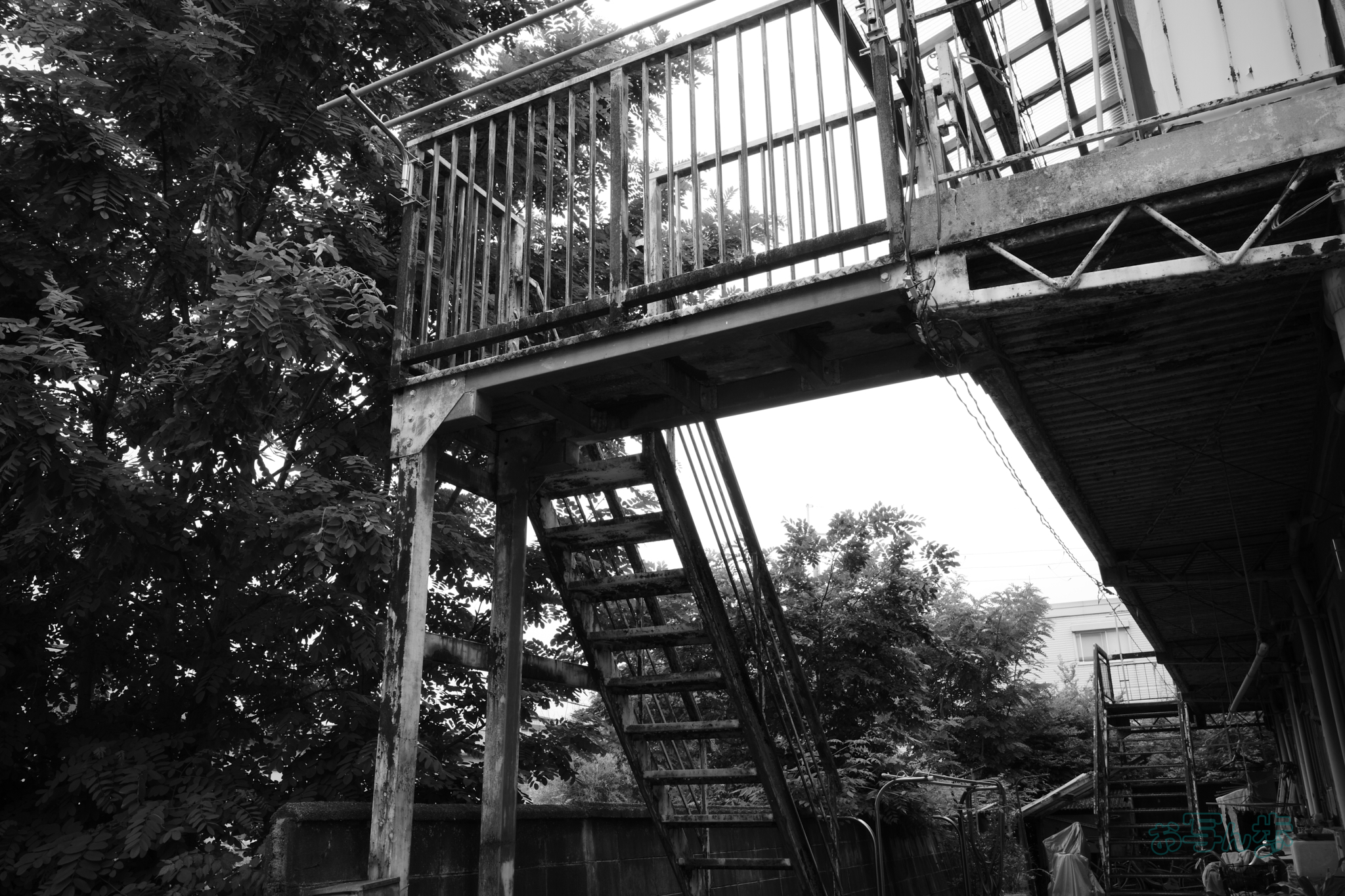 https://www.yaotomi.co.jp/blog/walk/R0000477co%2C18%20mm%2CF10%2Ciso320%28JPEG%29.jpg