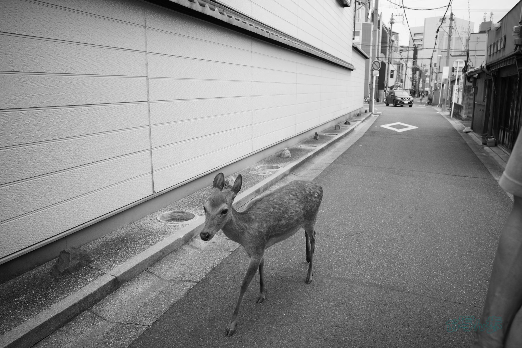https://www.yaotomi.co.jp/blog/walk/R0000538co%2C18%20mm%2CF3.5%2Ciso160%28JPEG%29.jpg