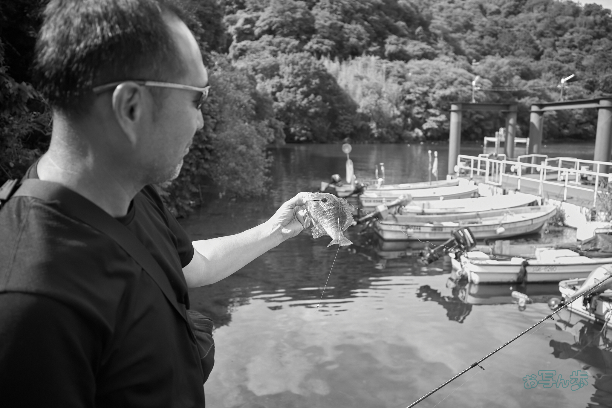 https://www.yaotomi.co.jp/blog/walk/R0000627co%2C18%20mm%2CF2.8%2Ciso320%2CRICOH%20GR%20IV%20Monochrome.jpg
