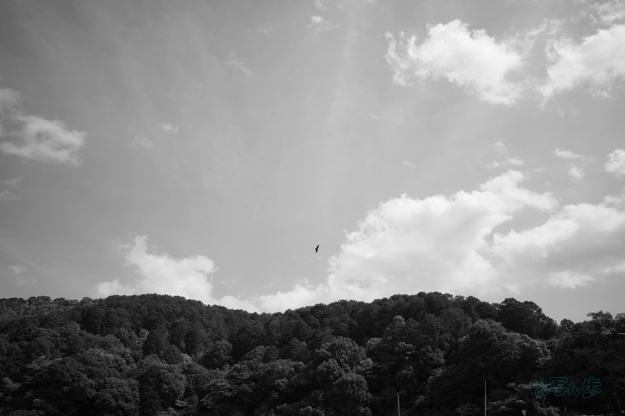https://www.yaotomi.co.jp/blog/walk/R0000636co%2C18%20mm%2CF10%2Ciso320%2CRICOH%20GR%20IV%20Monochrome.jpg
