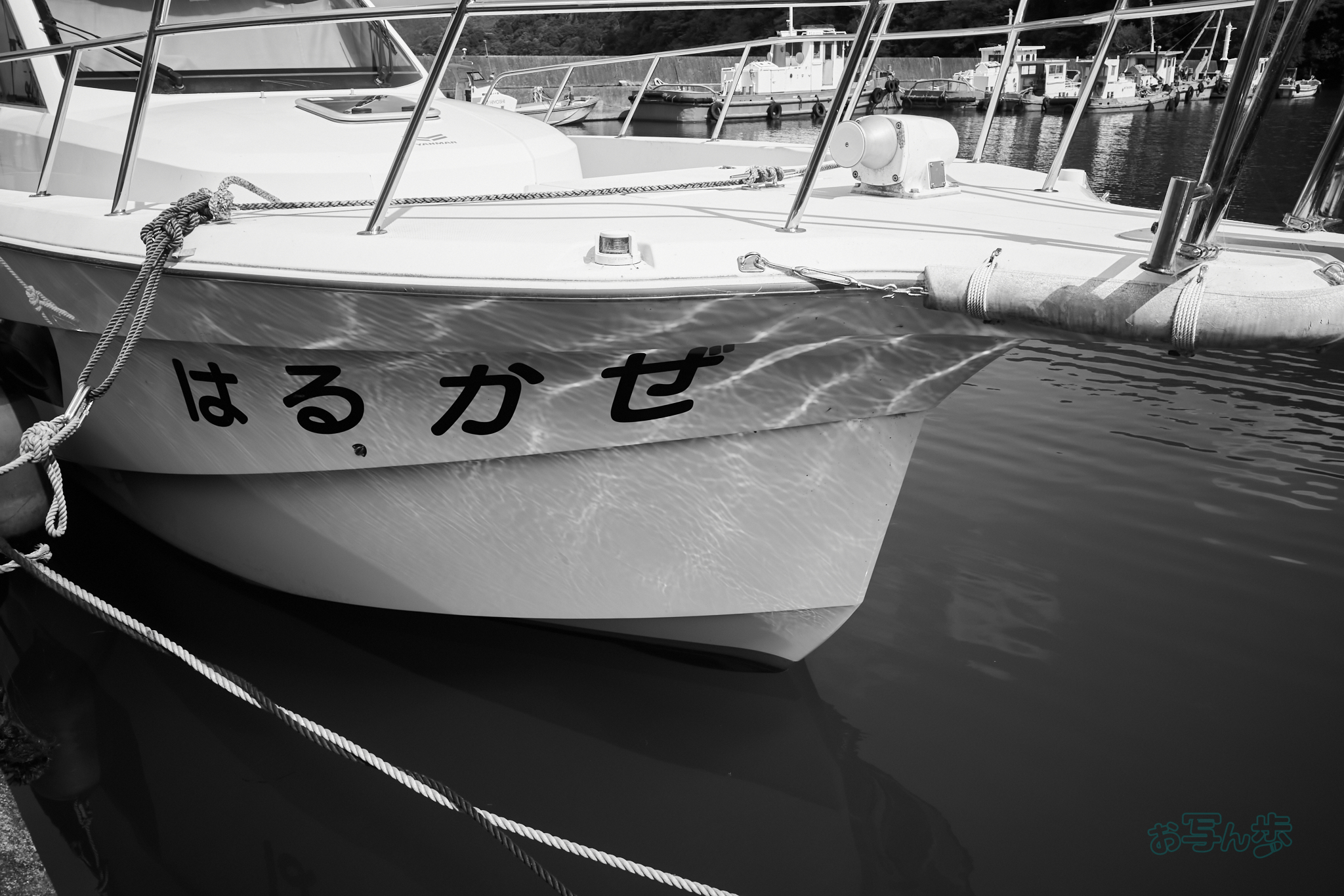 https://www.yaotomi.co.jp/blog/walk/R0000638co%2C18%20mm%2CF10%2Ciso320%2CRICOH%20GR%20IV%20Monochrome.jpg