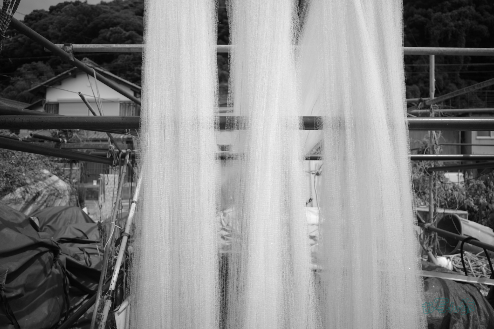 https://www.yaotomi.co.jp/blog/walk/R0000696co%2C18%20mm%2CF2.8%2Ciso160%2CRICOH%20GR%20IV%20Monochrome.jpg