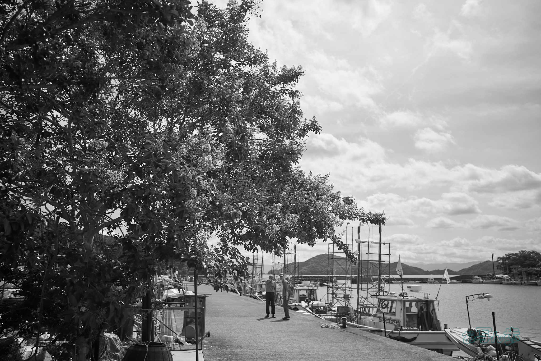 https://www.yaotomi.co.jp/blog/walk/R0000698co%2C18%20mm%2CF2.8%2Ciso320%2CRICOH%20GR%20IV%20Monochrome.jpg