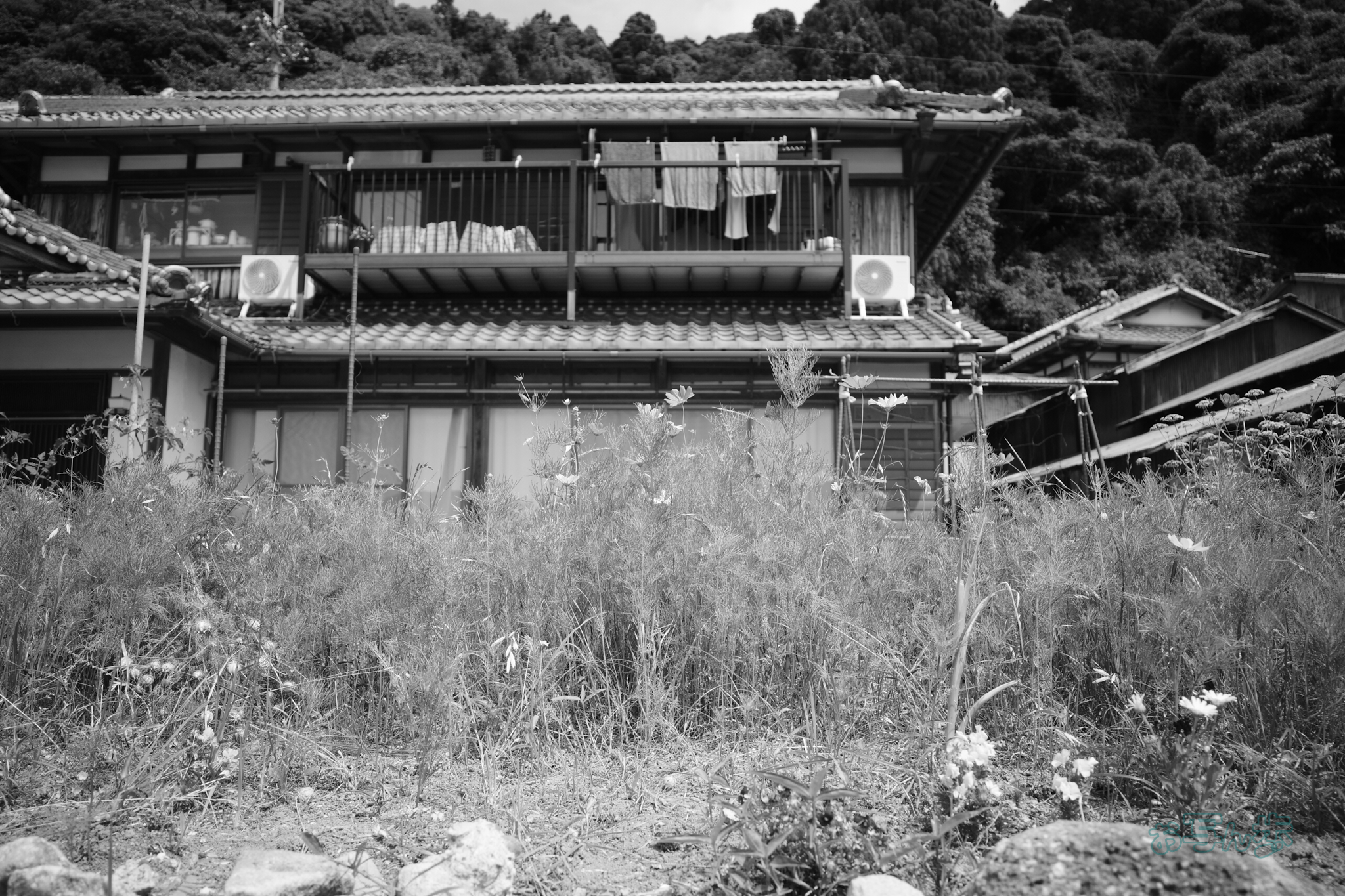 https://www.yaotomi.co.jp/blog/walk/R0000718co%2C18%20mm%2CF2.8%2Ciso320%2CRICOH%20GR%20IV%20Monochrome.jpg