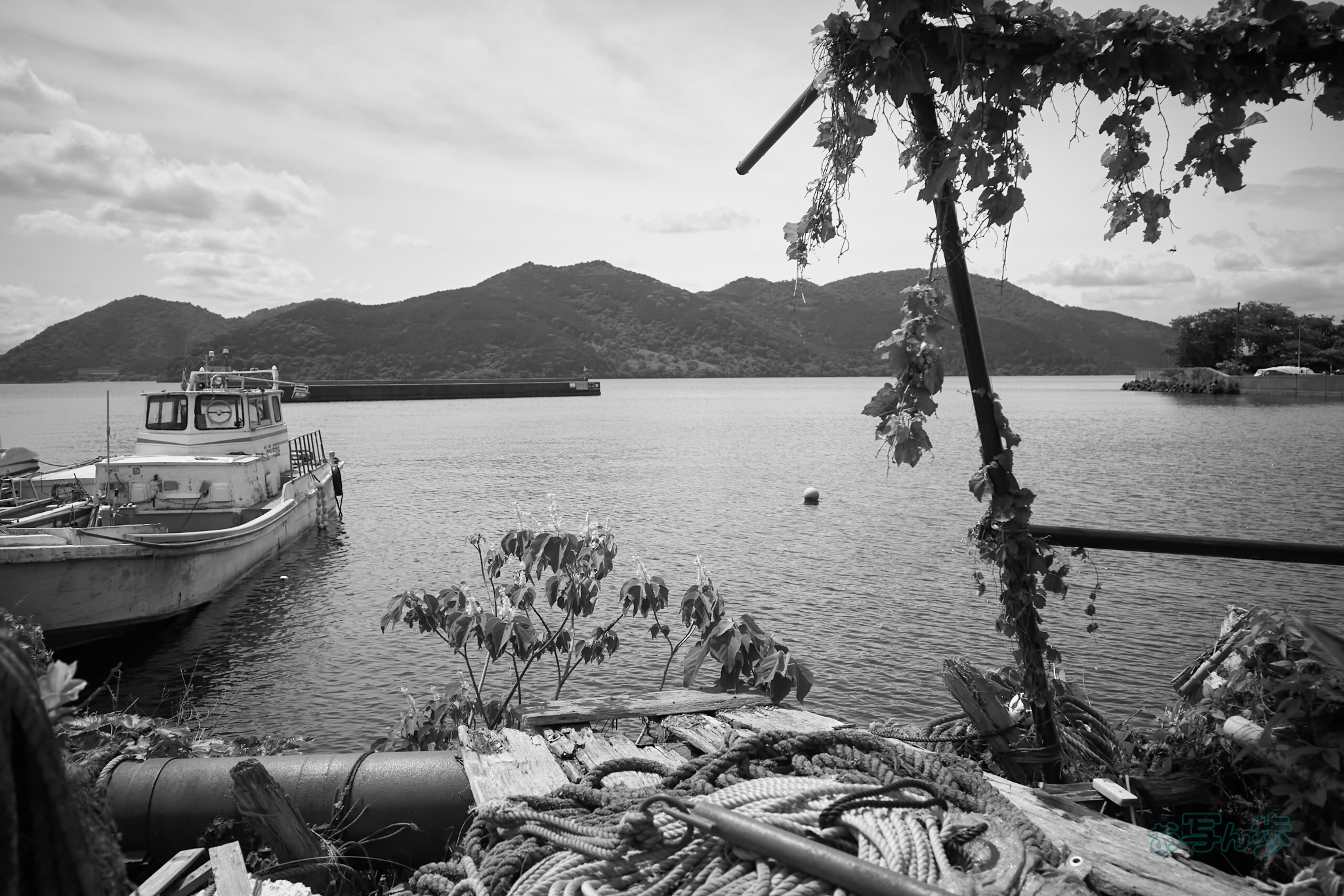 https://www.yaotomi.co.jp/blog/walk/R0000725co%2C18%20mm%2CF2.8%2Ciso320%2CRICOH%20GR%20IV%20Monochrome.jpg