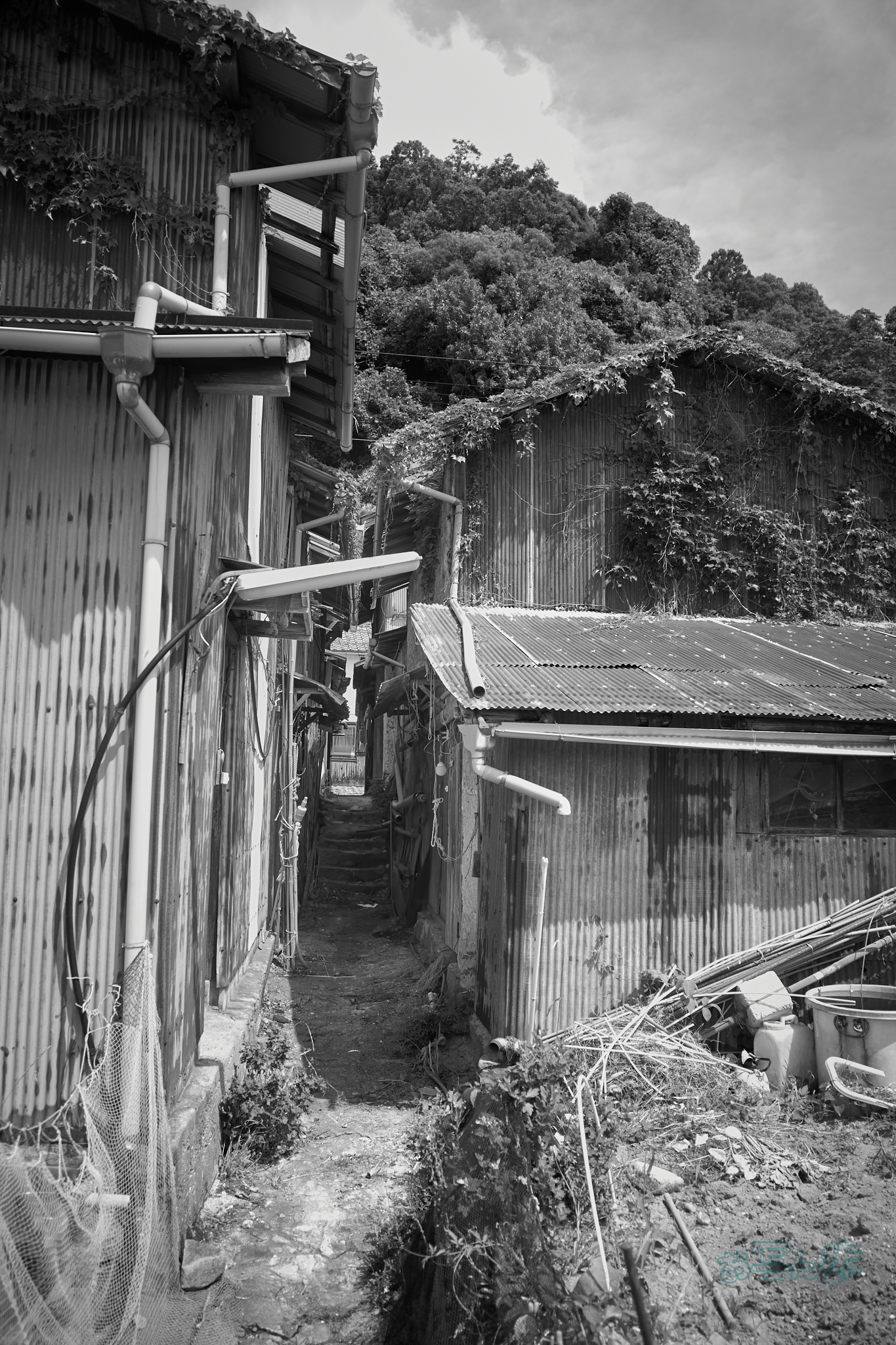 https://www.yaotomi.co.jp/blog/walk/R0000730co%2C18%20mm%2CF2.8%2Ciso160%2CRICOH%20GR%20IV%20Monochrome.jpg