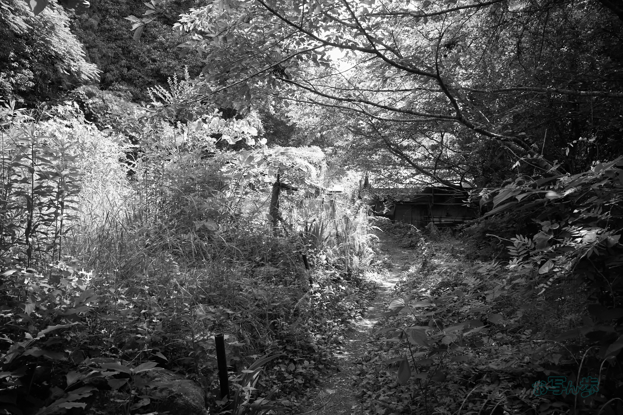 https://www.yaotomi.co.jp/blog/walk/R0000751co%2C18%20mm%2CF7.1%2Ciso320%2CRICOH%20GR%20IV%20Monochrome.jpg