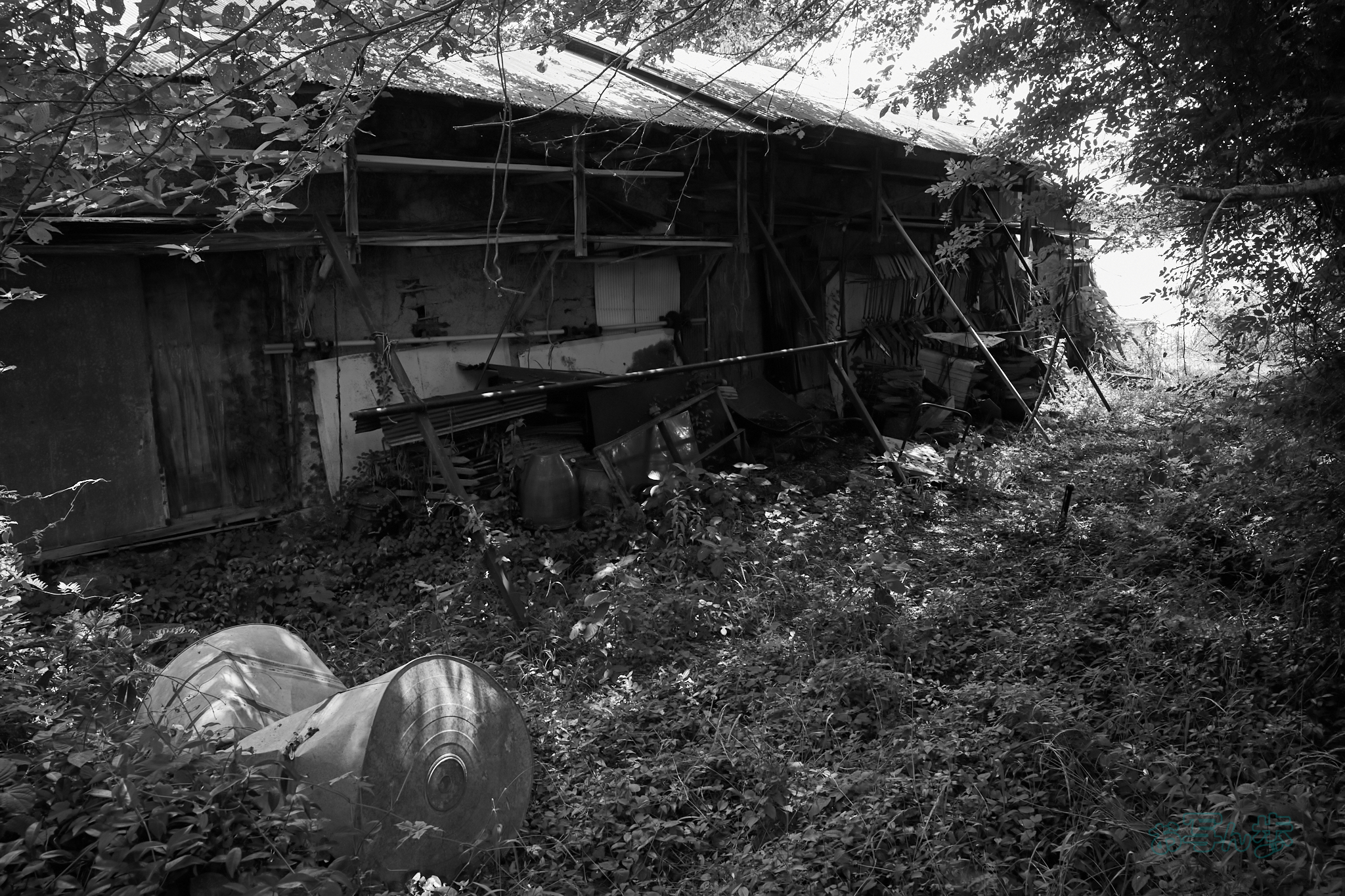 https://www.yaotomi.co.jp/blog/walk/R0000755co%2C18%20mm%2CF7.1%2Ciso320%2CRICOH%20GR%20IV%20Monochrome.jpg