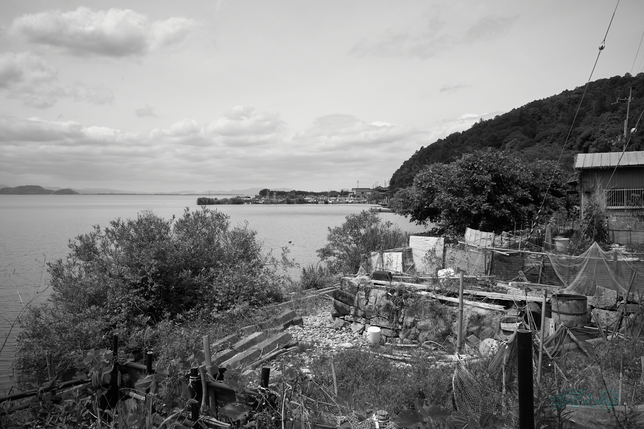 https://www.yaotomi.co.jp/blog/walk/R0000762co%2C18%20mm%2CF9%2Ciso320%2CRICOH%20GR%20IV%20Monochrome.jpg