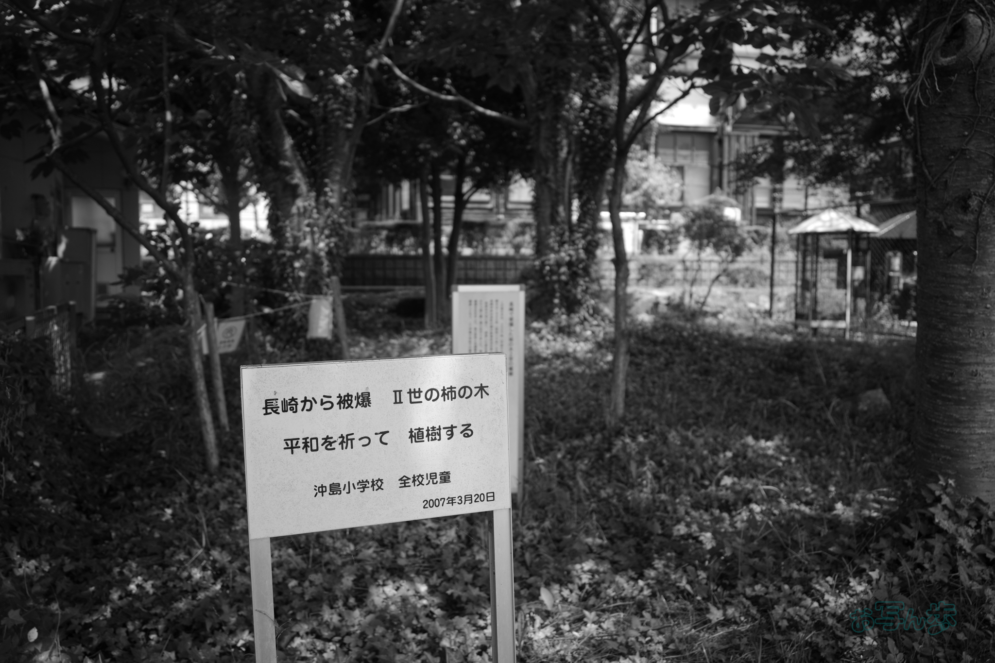 https://www.yaotomi.co.jp/blog/walk/R0000766co%2C18%20mm%2CF2.8%2Ciso160%2CRICOH%20GR%20IV%20Monochrome.jpg