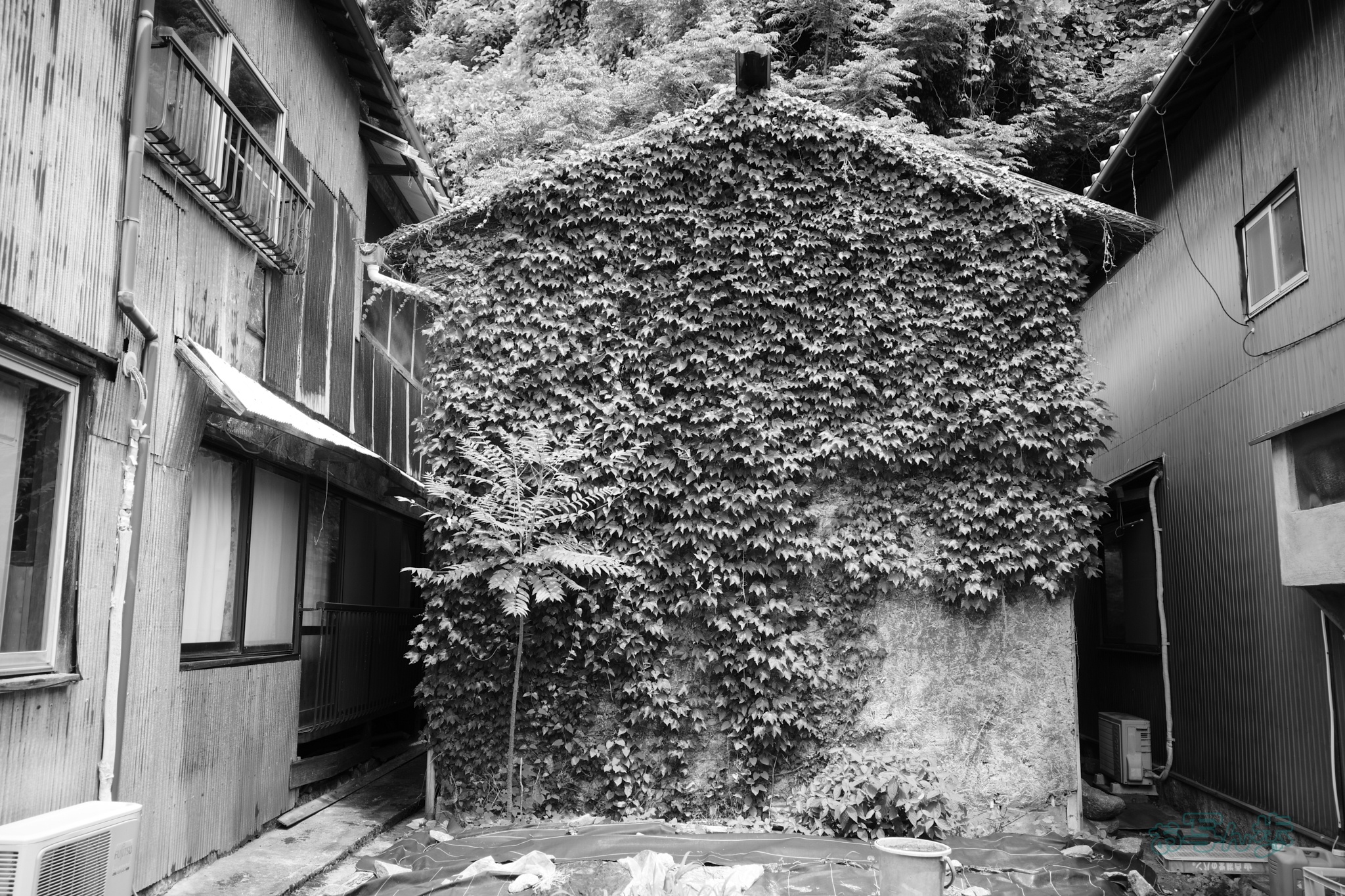 https://www.yaotomi.co.jp/blog/walk/R0000810co%2C18%20mm%2CF2.8%2Ciso320%2CRICOH%20GR%20IV%20Monochrome.jpg