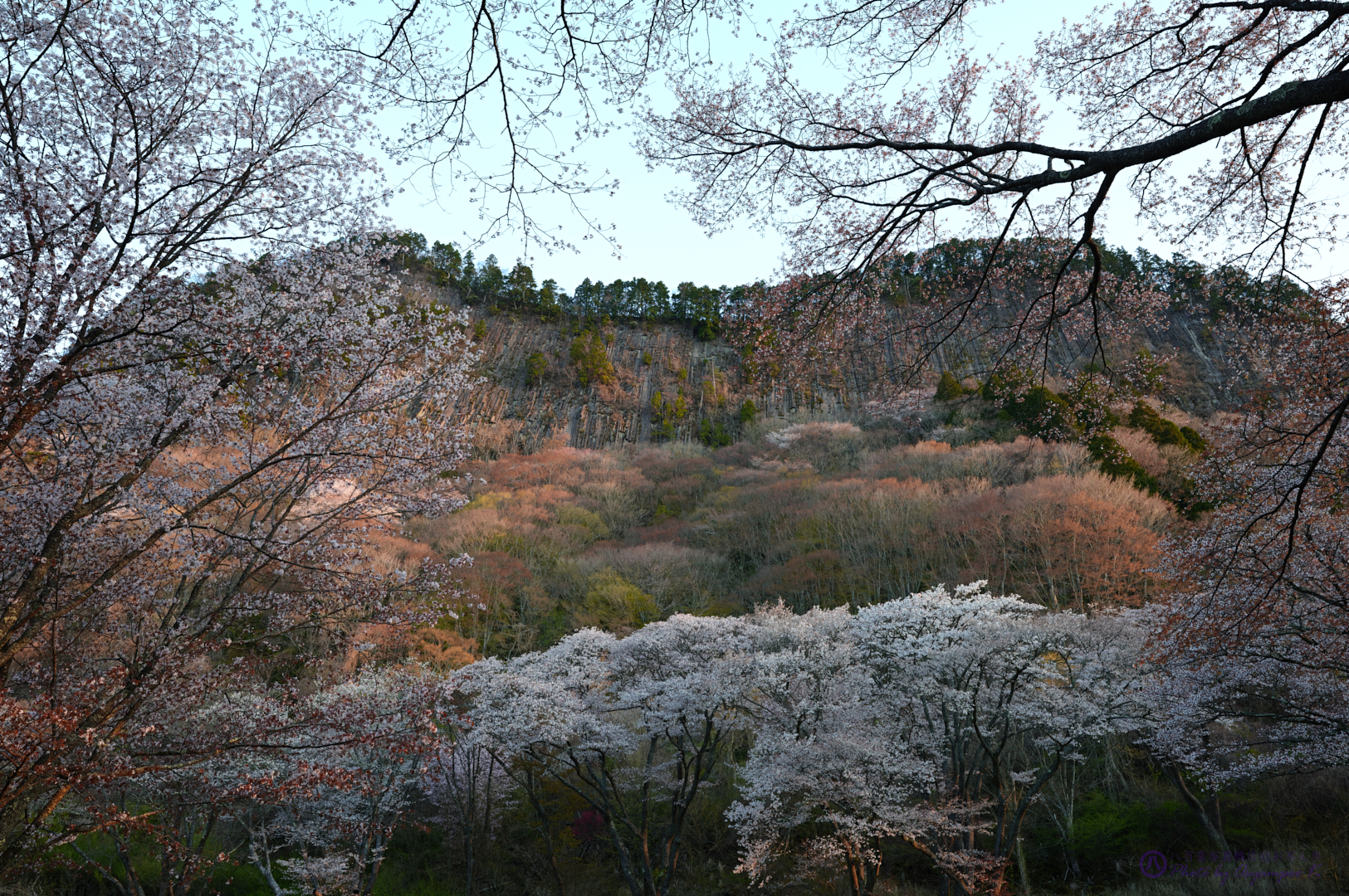 https://www.yaotomi.co.jp/blog/walk/SDIM0149%2Ciso100%2C1-8%20%E7%A7%92%2CF8.jpg