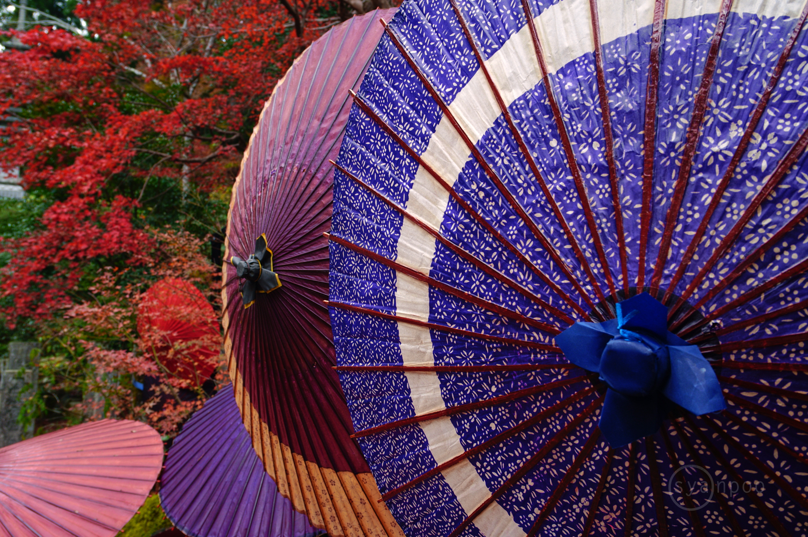 https://www.yaotomi.co.jp/blog/walk/SDIM0228%2C18%20mm%2CF5.6%2Ciso125%28JPEG%29.jpg