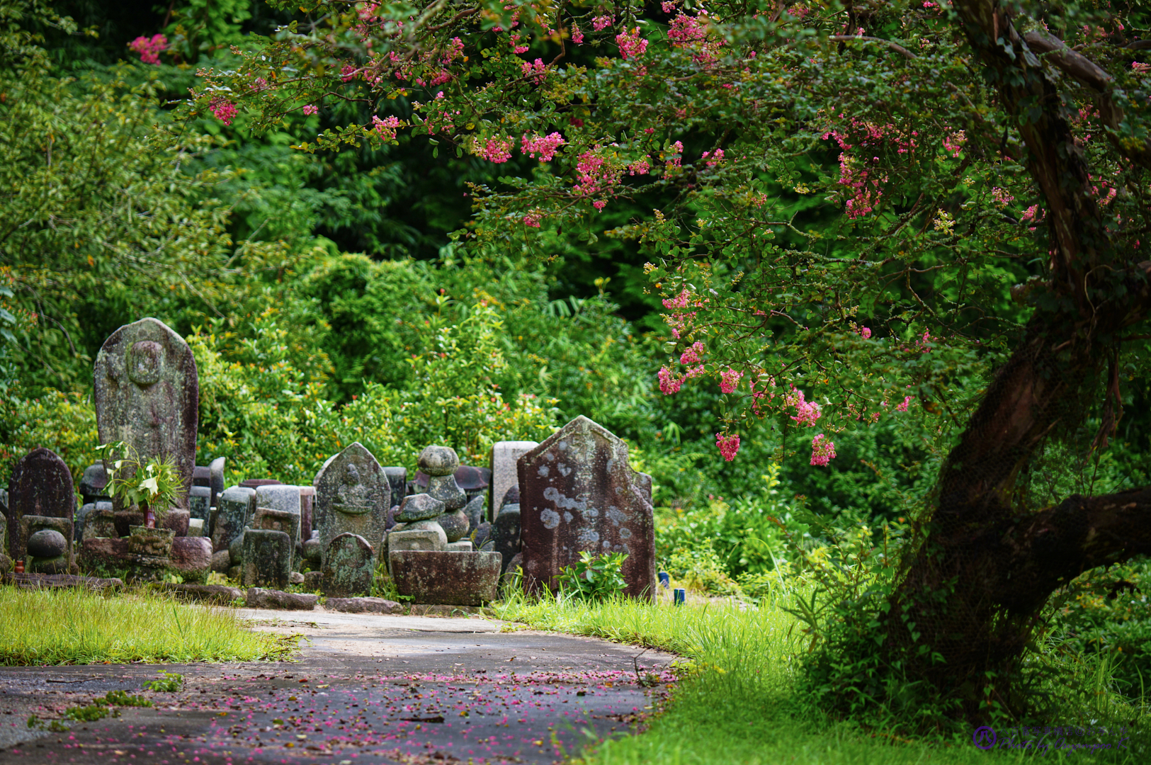 https://www.yaotomi.co.jp/blog/walk/SDIM0631%2C164%20mm%2CF5.2%2Ciso125JPEG.jpg