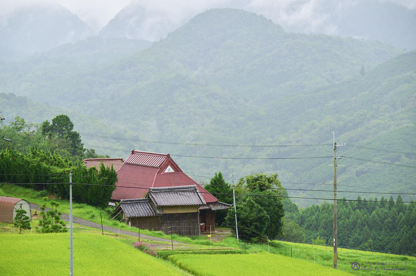 https://www.yaotomi.co.jp/blog/walk/SDIM0694%2C150%20mm%2CF8%2Ciso200DNG.jpg