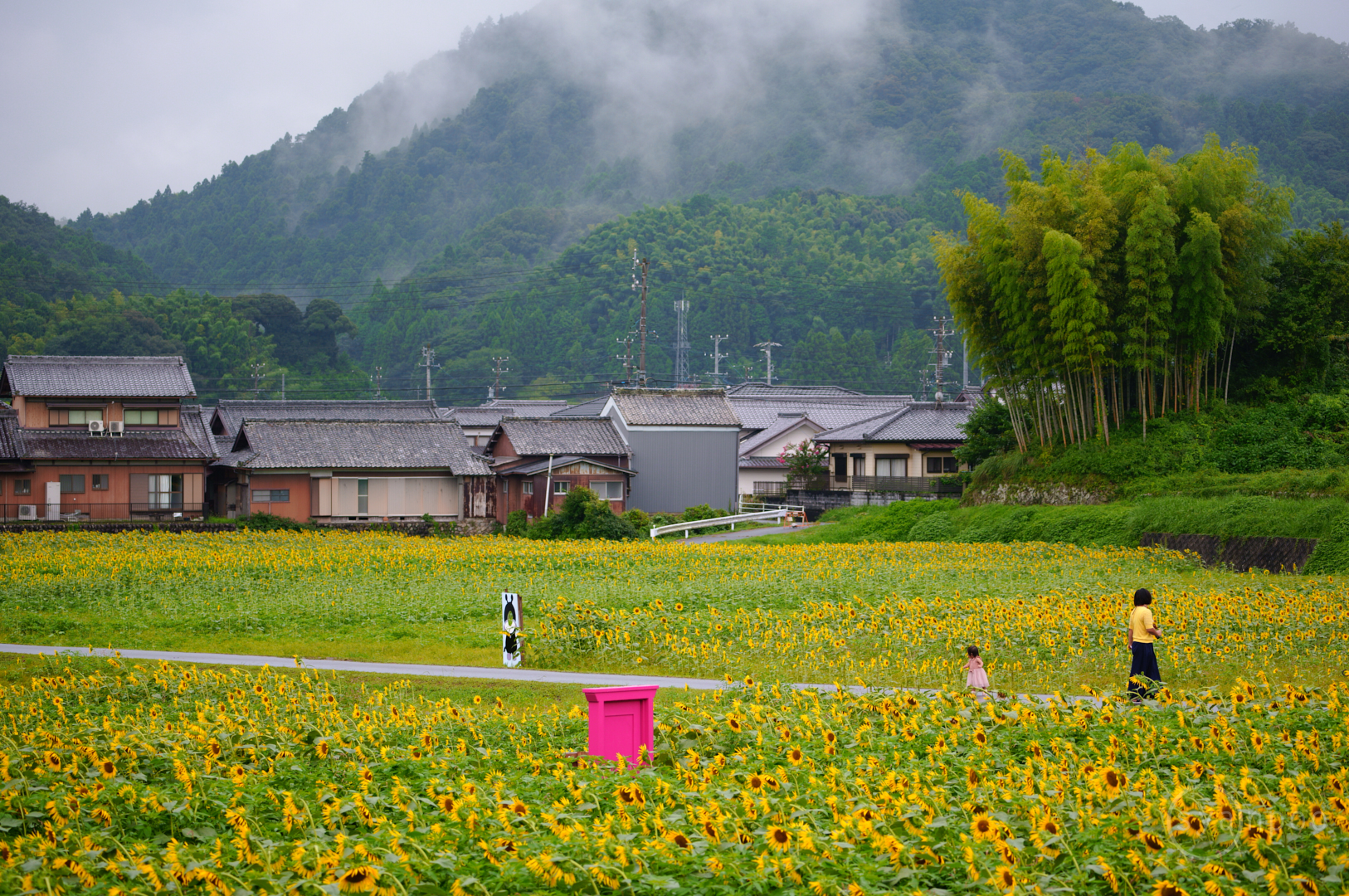 https://www.yaotomi.co.jp/blog/walk/SDIM0766%2C100%20mm%2CF5%2Ciso200%28JPEG%29.jpg