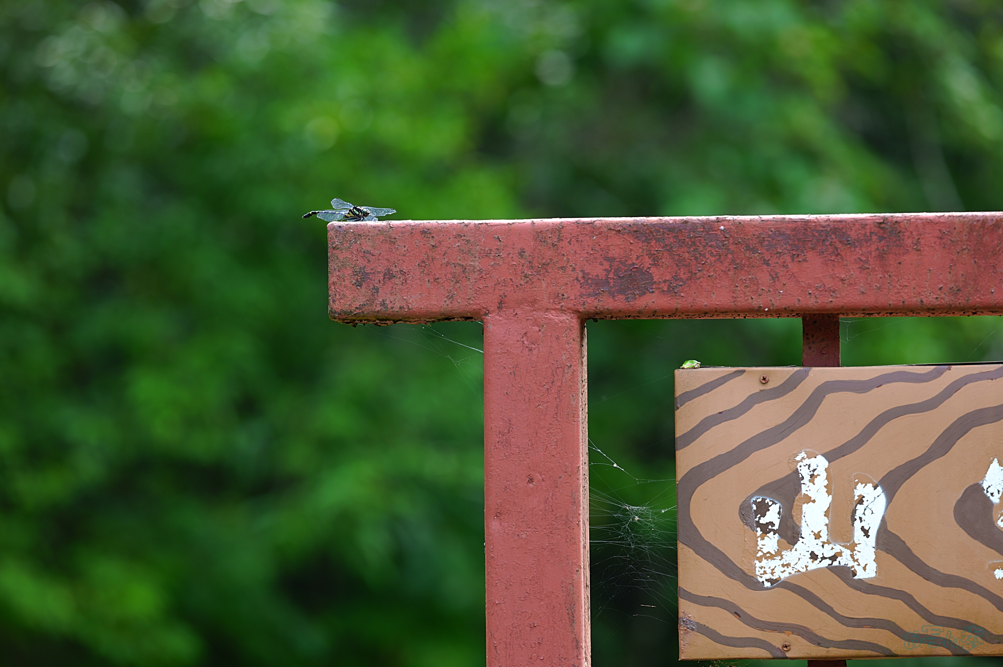 https://www.yaotomi.co.jp/blog/walk/SDIM1003%2C200%20mm%2CF3.2%2Ciso125_200mm%20F2%20DG%20OS%20%20Sports%20025%20%20%20%20%20%20%20%20%20%20%20%20%20%20%20%20%20%20%20%20%20%20%20%20%20%20%20%20%20%20%20%20%20.jpg