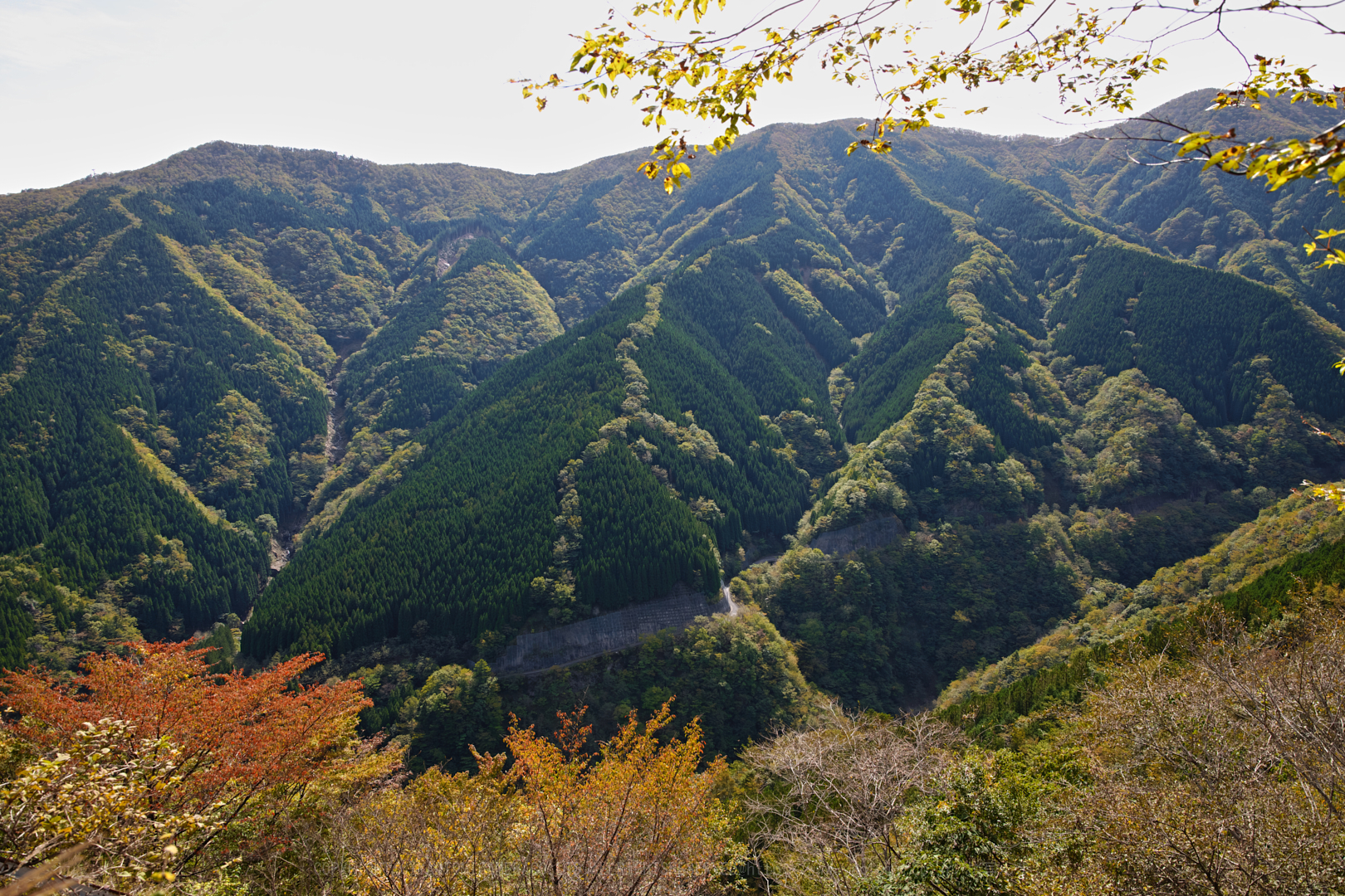 https://www.yaotomi.co.jp/blog/walk/SDIM1007%2C24%20mm%2CF8%2Ciso100.jpg