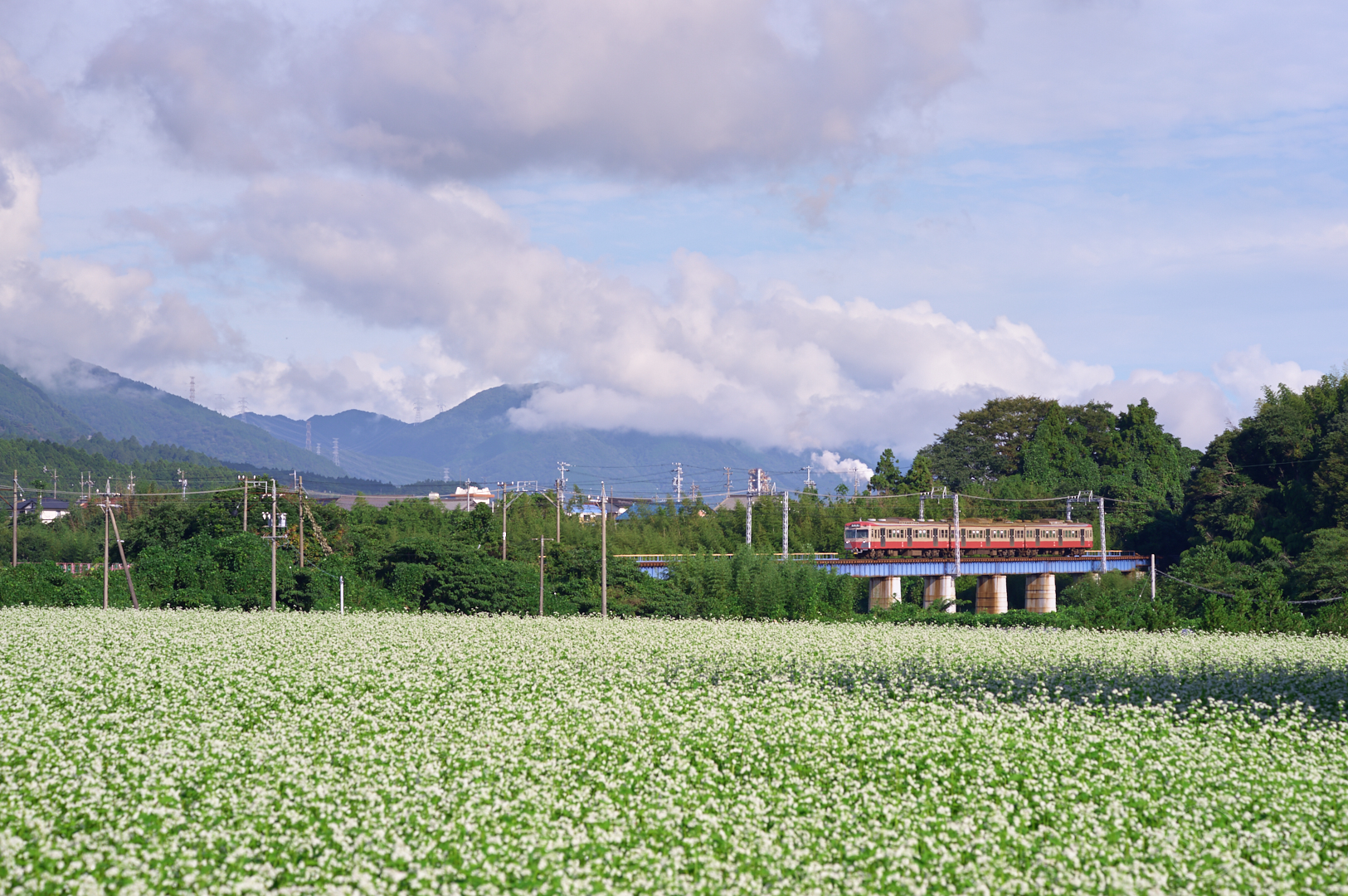 https://www.yaotomi.co.jp/blog/walk/SDIM1047%2C90%20mm%2CF8%2Ciso100DNG.jpg