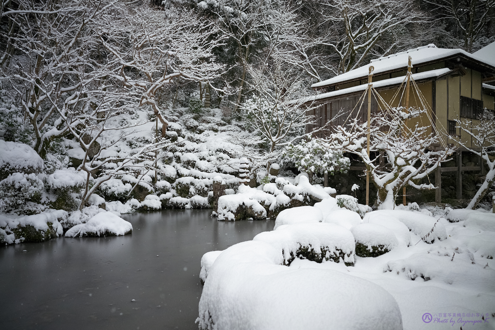 https://www.yaotomi.co.jp/blog/walk/SDIM1214%2C24%20mm%2CF3.5%2Ciso800.jpg