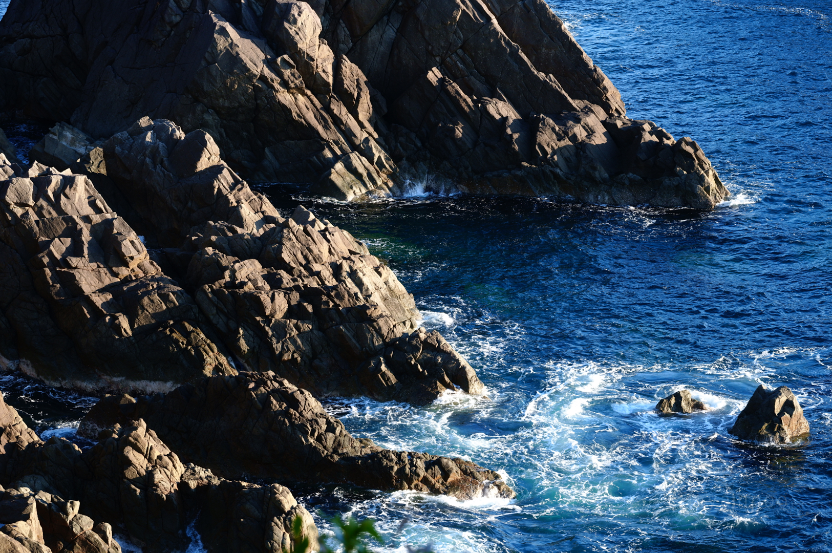 https://www.yaotomi.co.jp/blog/walk/SDIM1233%2C115%20mm%2CF10%2Ciso400%28JPEG%29.jpg