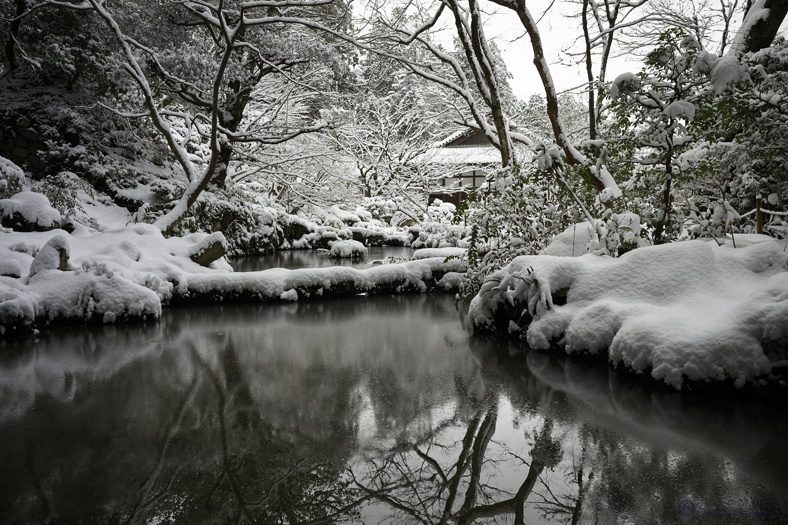 https://www.yaotomi.co.jp/blog/walk/SDIM1233%2C24%20mm%2CF10%2Ciso800.jpg