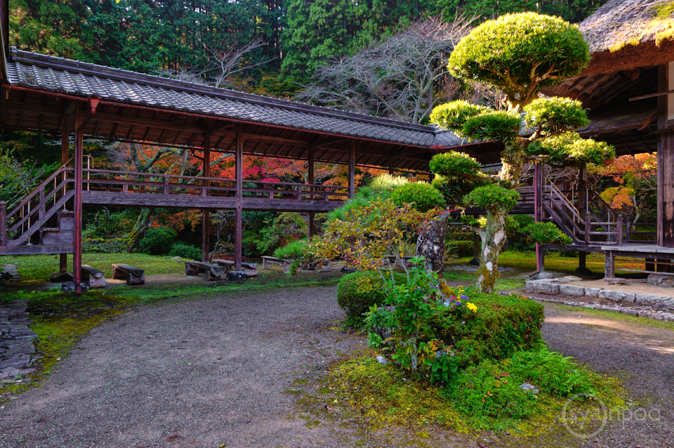 https://www.yaotomi.co.jp/blog/walk/SDIM1430%2CFB%2C2022yaotomi.jpg