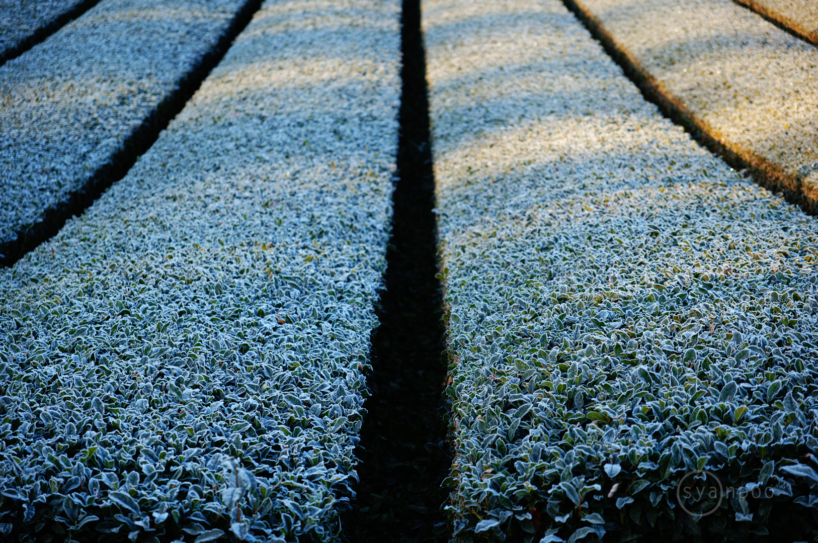 https://www.yaotomi.co.jp/blog/walk/SDIM1775%2C50%20mm%2CF2.8%2Ciso100%28JPEG%29.jpg