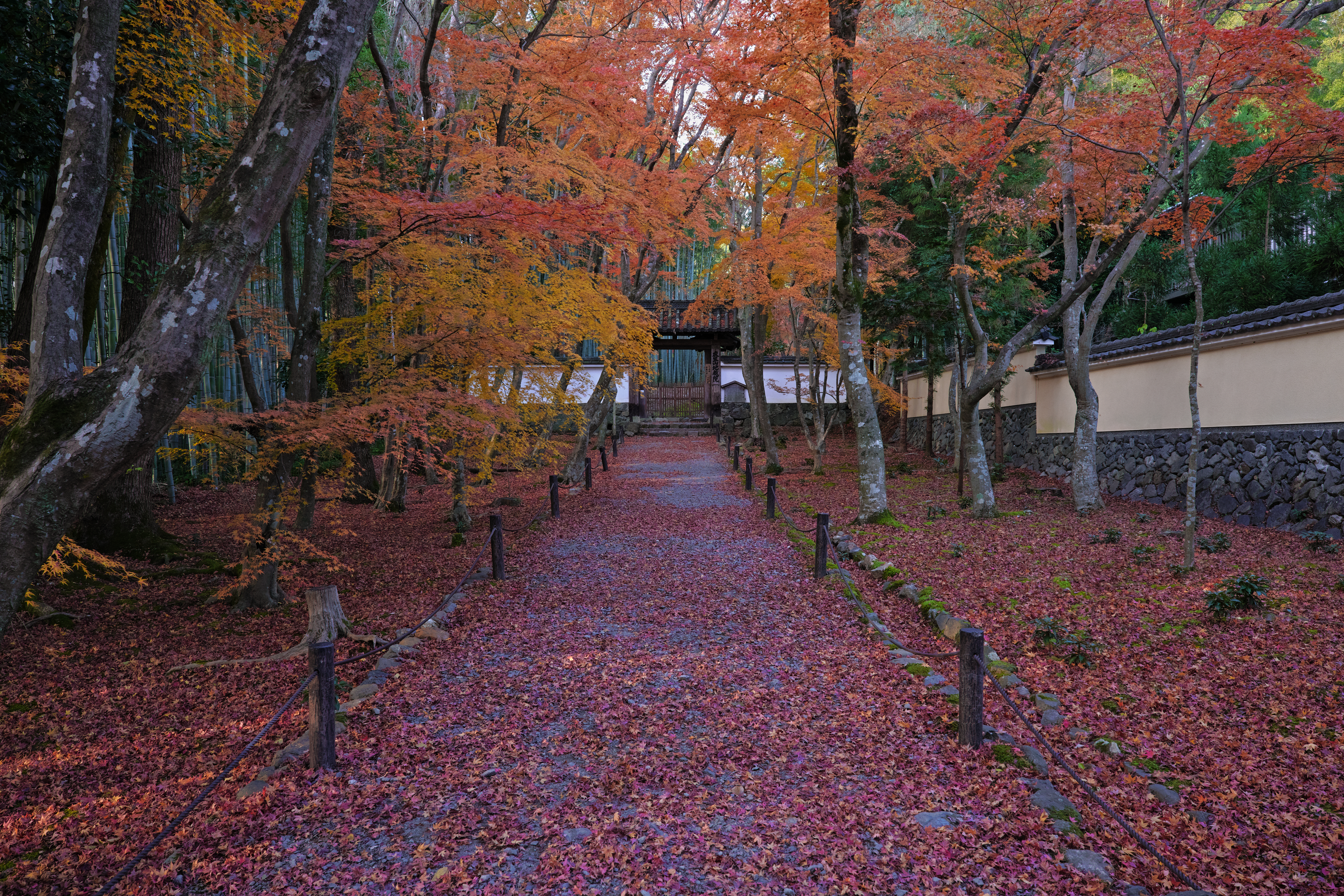 https://www.yaotomi.co.jp/blog/walk/SDIM1917.jpg