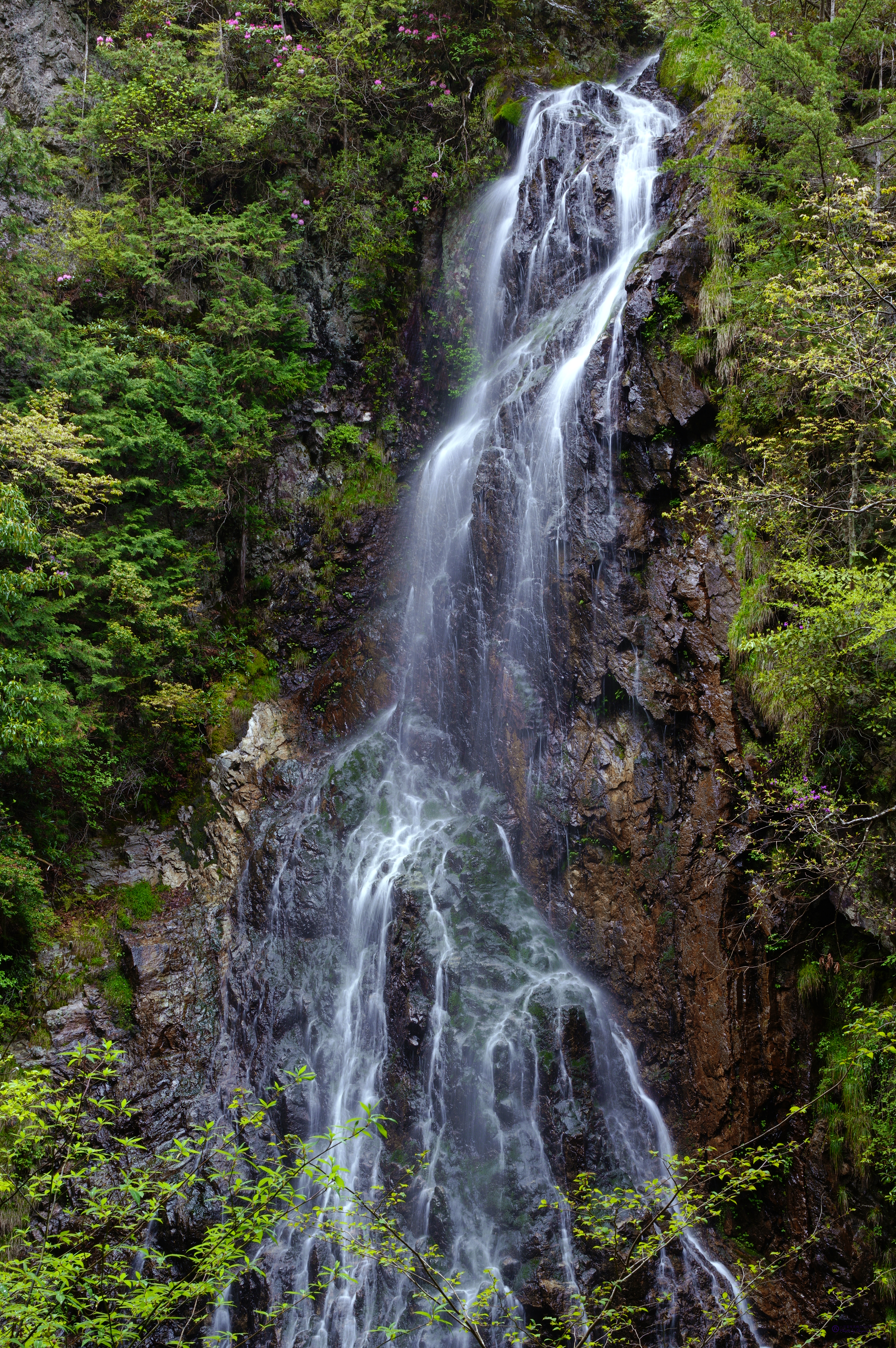 https://www.yaotomi.co.jp/blog/walk/SDIM1931%2C35%20mm%2CF14%2Ciso100%20%282%29.jpg