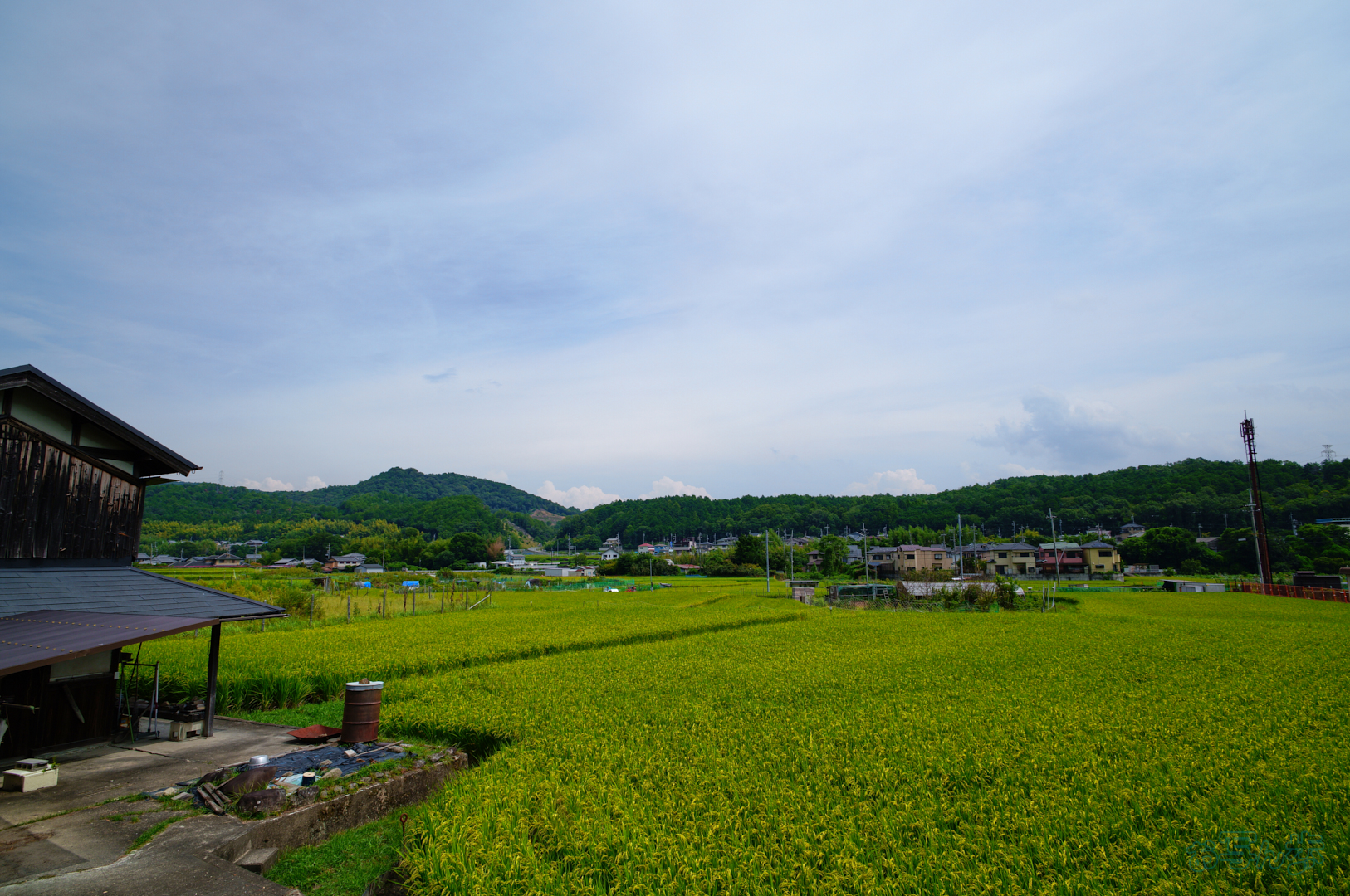 https://www.yaotomi.co.jp/blog/walk/SDIM2026%2C20%20mm%2CF9%2C1-400%20%E7%A7%92%2Ciso100%28JPEG%29.jpg
