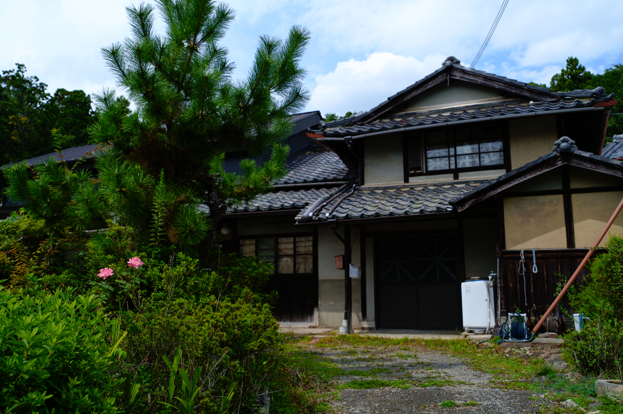 https://www.yaotomi.co.jp/blog/walk/SDIM2102co%2C33%20mm%2CF5.1%2Ciso100%28JPEG%29.jpg