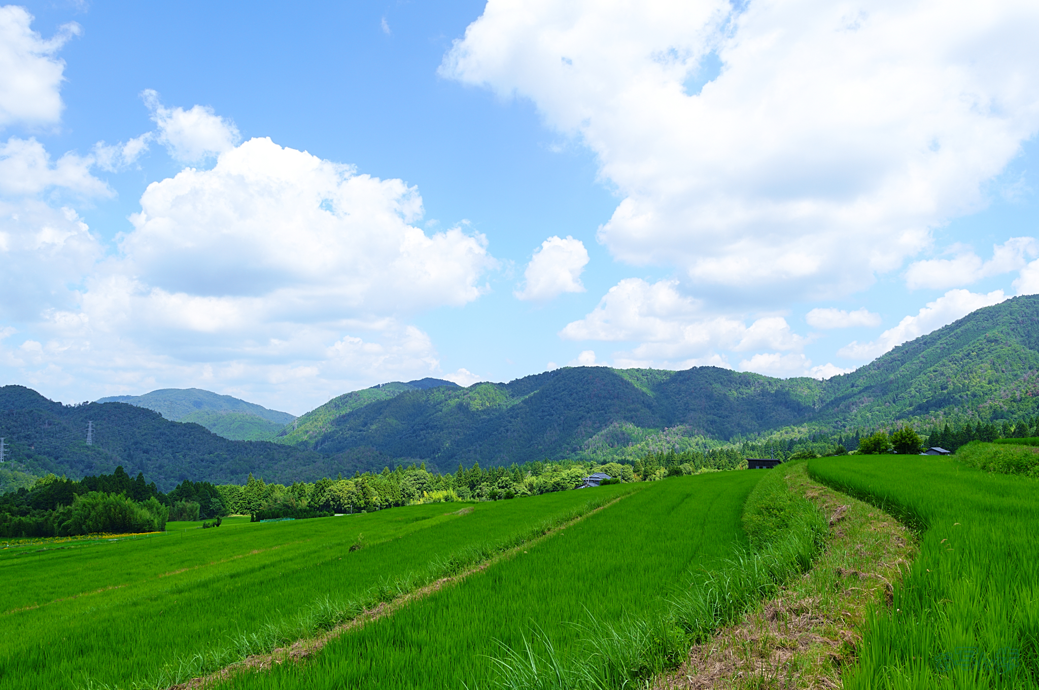 https://www.yaotomi.co.jp/blog/walk/SDIM2206%2CF11%2C1-100%20%E7%A7%92%2Ciso100_28-105mm%20F2.8%20DG%20DN%20%20Art%20024%20%20%20%20%20%20%20%20%20%20%20%20%20%20%20%20%20%20%20%20%20%20%20%20%20%20%20%20%20%20%20.jpg