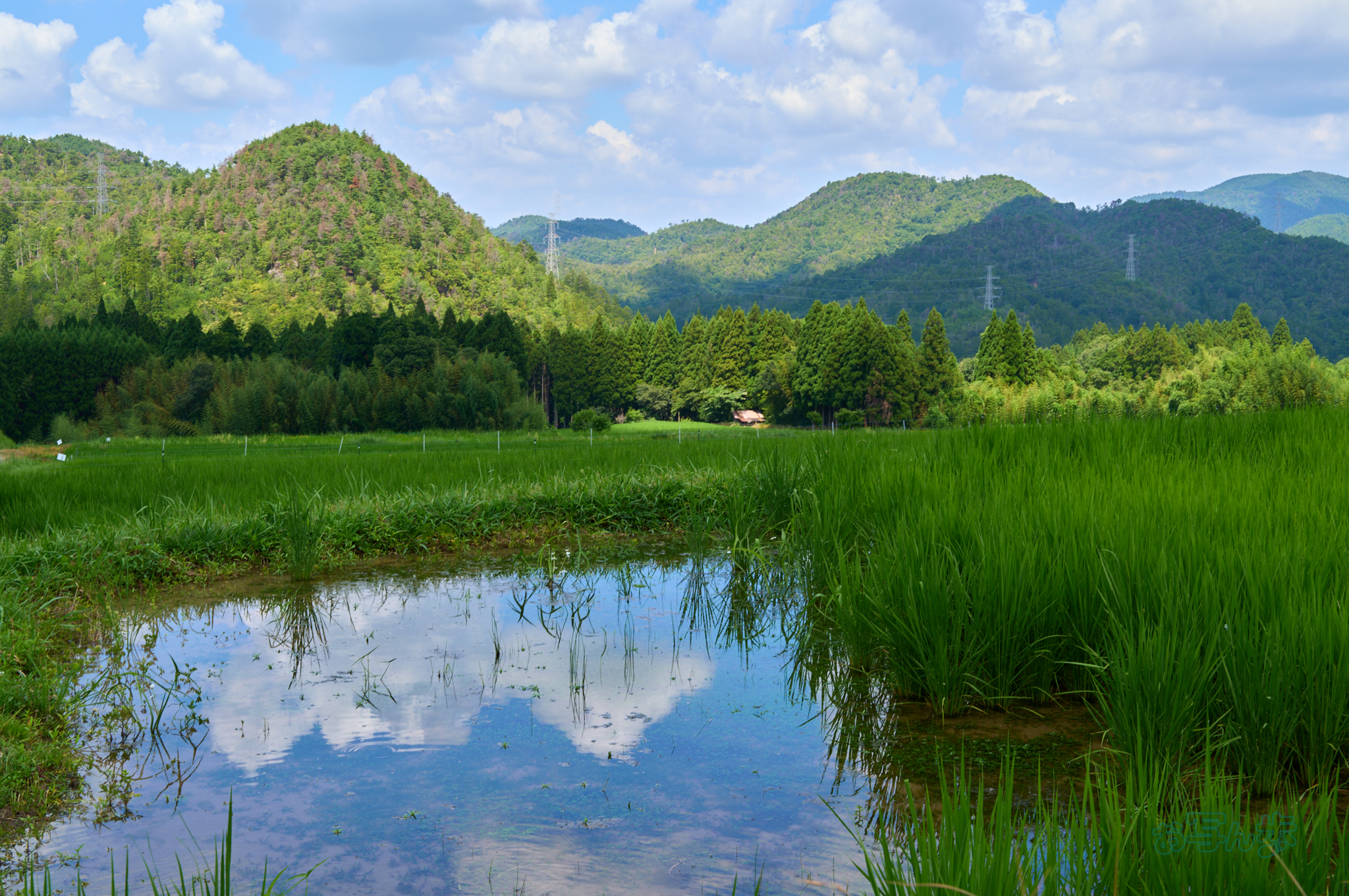 https://www.yaotomi.co.jp/blog/walk/SDIM2207co%2C44%20mm%2CF11%2Ciso100%2C28-105mm%20F2.8%20DG%20DN%20%20Art%20024.jpg