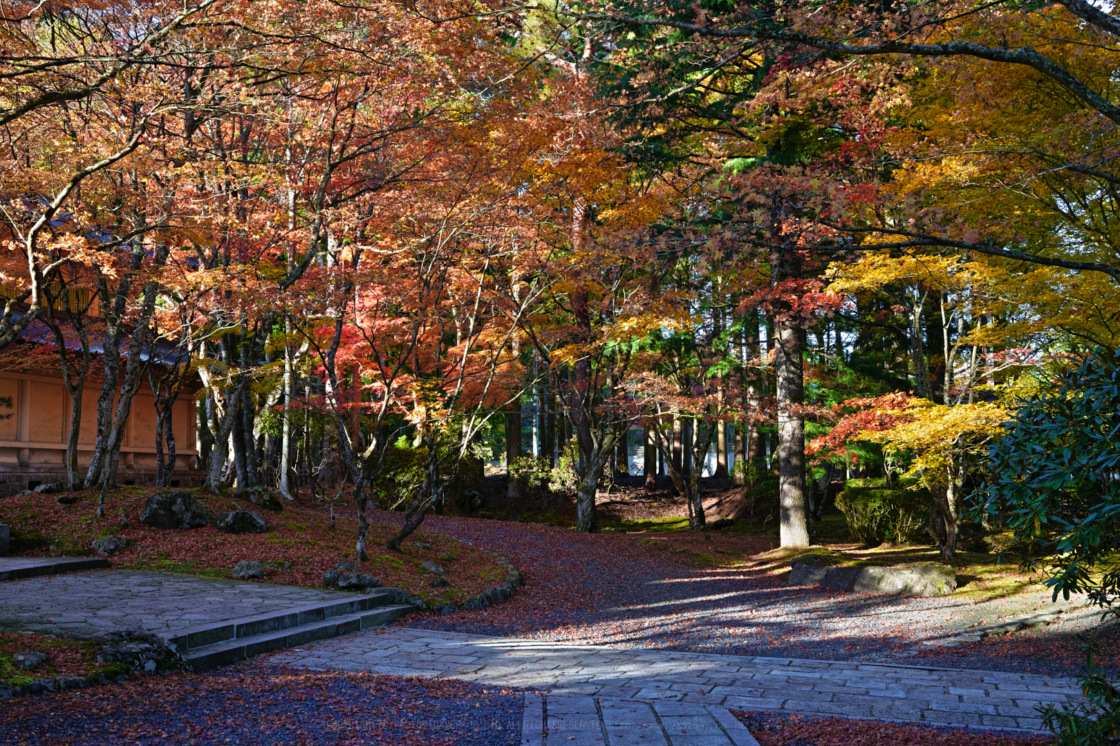 https://www.yaotomi.co.jp/blog/walk/SDIM2466spp%2C35%20mm%2CF10%2Ciso250.jpg