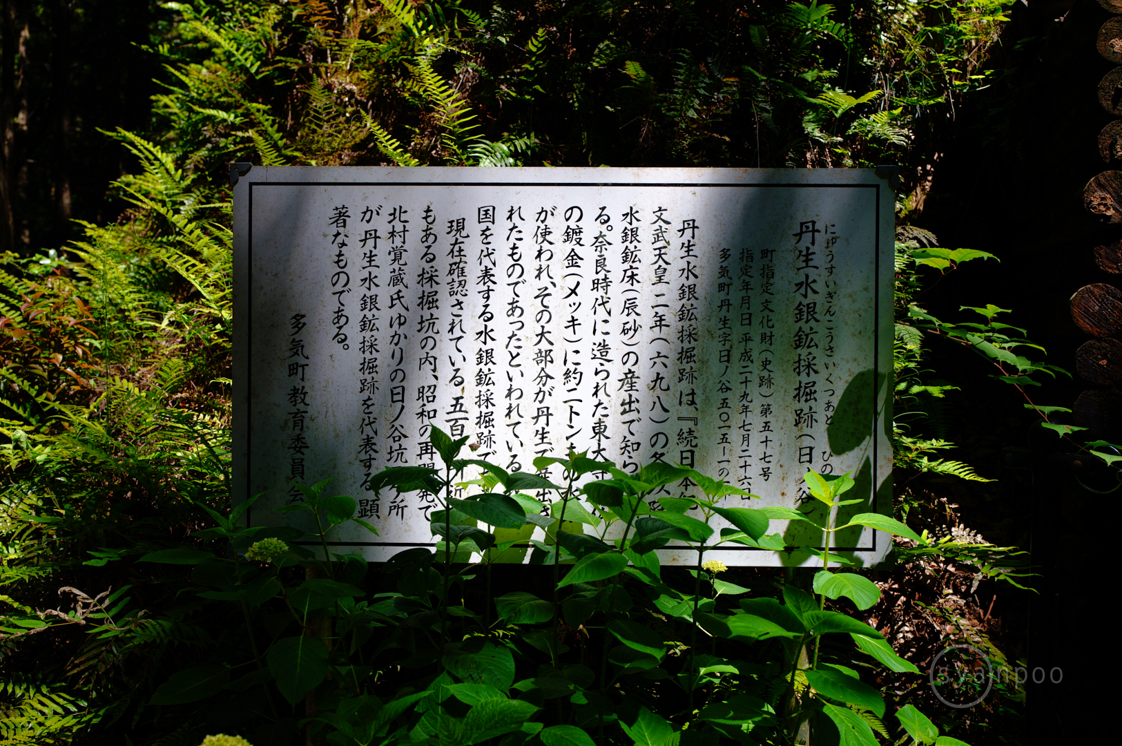 https://www.yaotomi.co.jp/blog/walk/SDIM2539%2C28%20mm%2CF3.5%2Ciso100%28JPEG%29.jpg