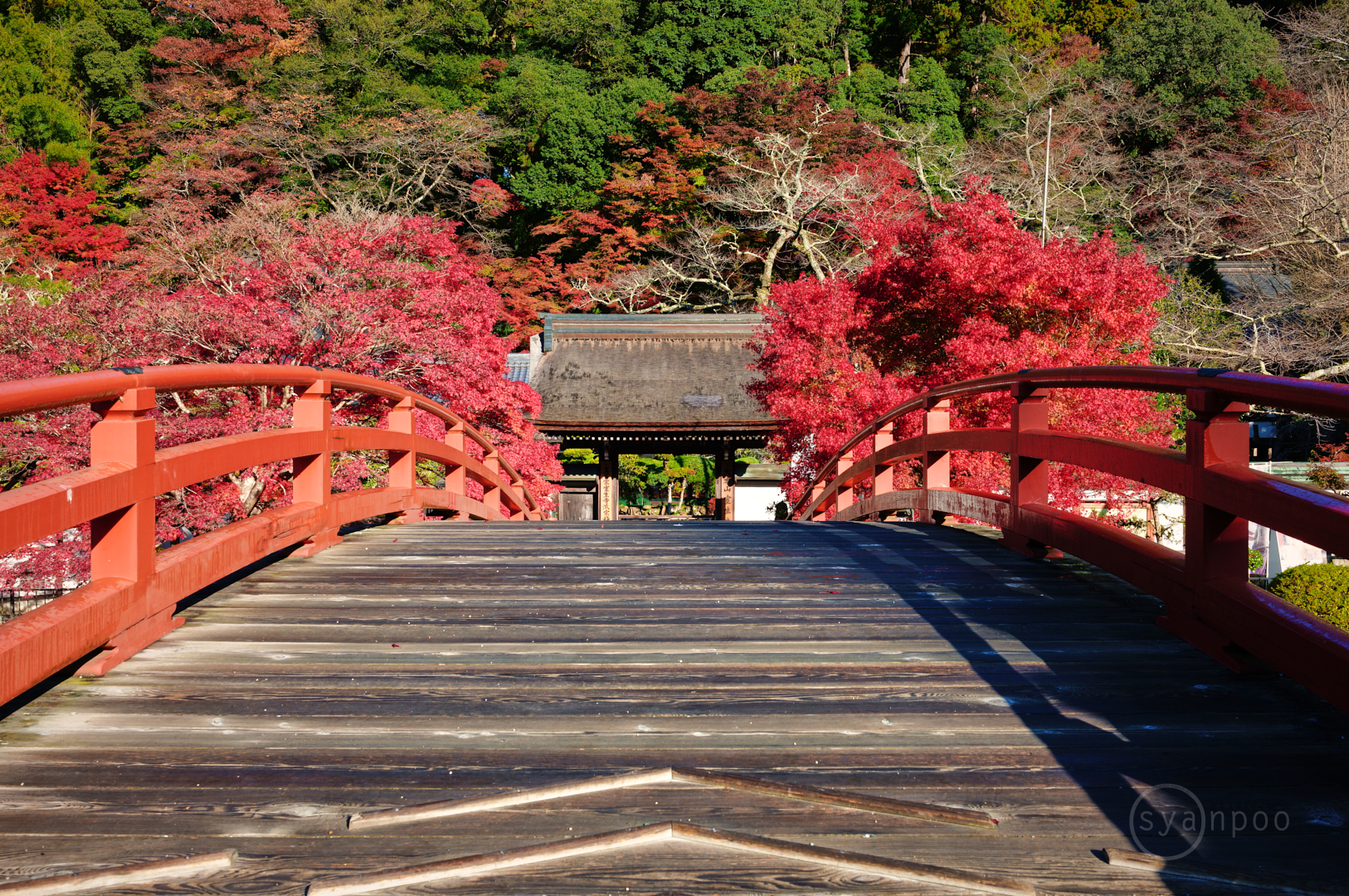 https://www.yaotomi.co.jp/blog/walk/SDIM2543%2C35%20mm%2CF10%2Ciso100%28JPEG%29%201.jpg