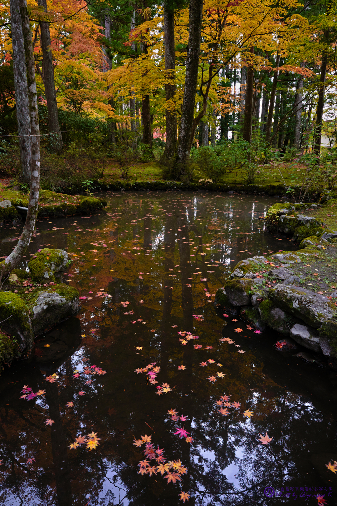 https://www.yaotomi.co.jp/blog/walk/SDIM2710%2CSIGMA%20fp%2C24%20mm_2020yaotomi.jpg