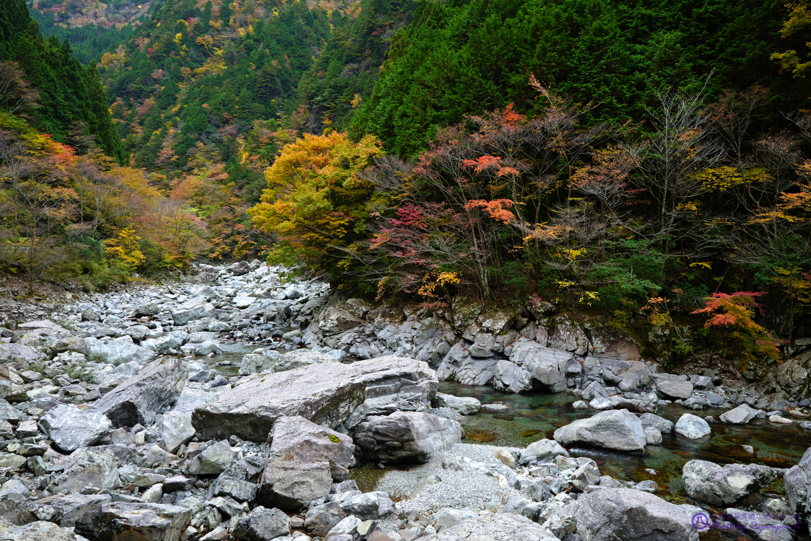 https://www.yaotomi.co.jp/blog/walk/SDIM2738%2CSIGMA%20fp%2C24%20mm_2020yaotomi.jpg