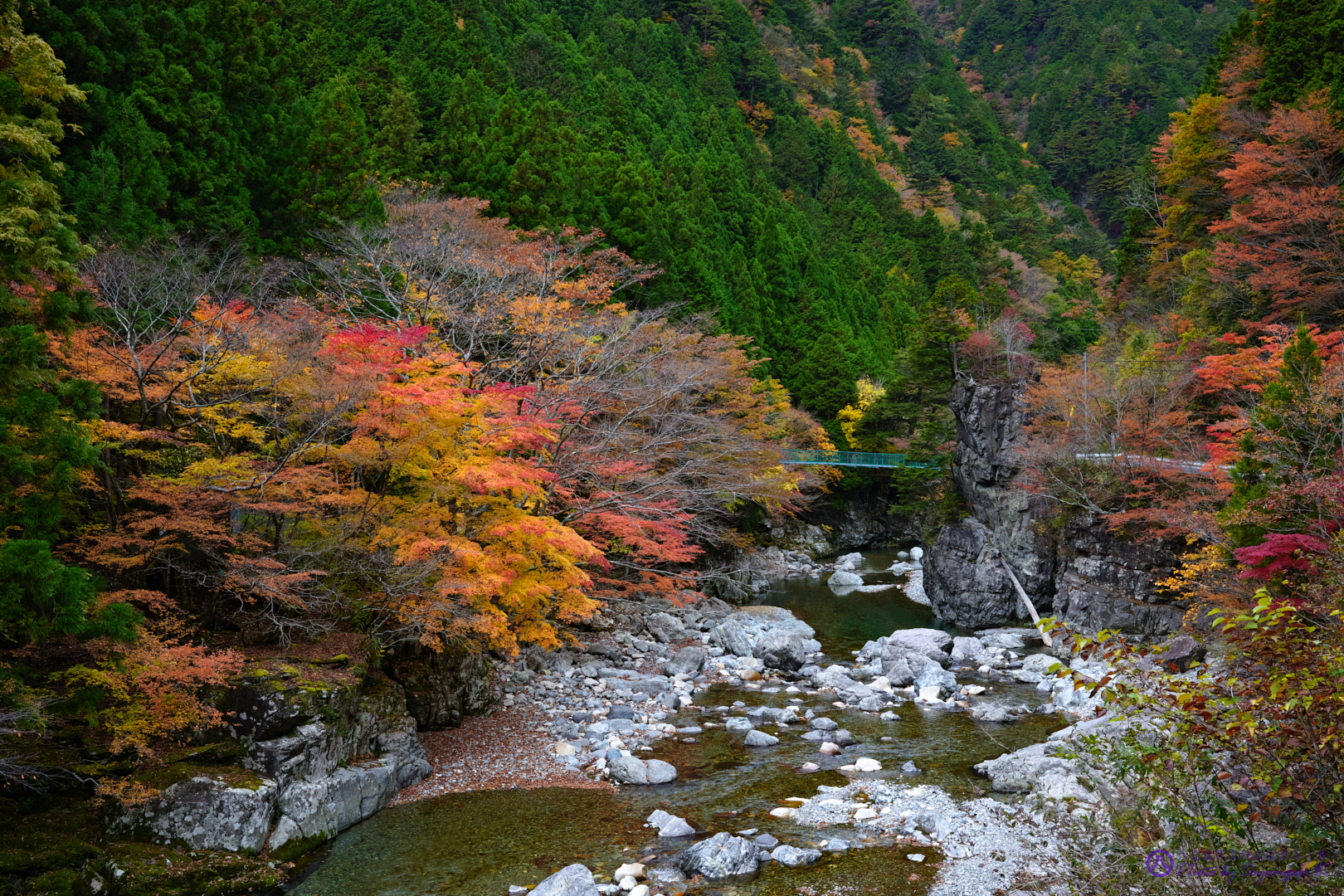 https://www.yaotomi.co.jp/blog/walk/SDIM2747%2CSIGMA%20fp%2C33%20mm_2020yaotomi.jpg