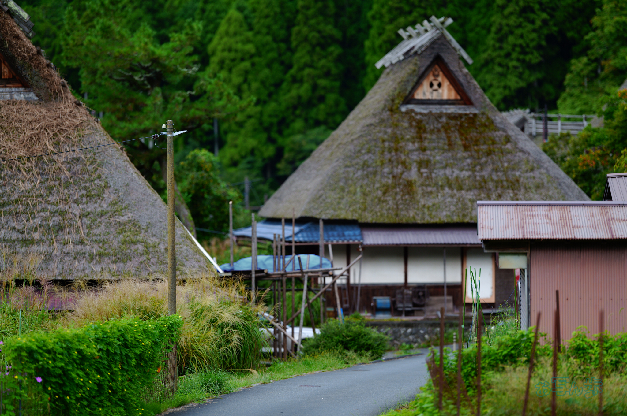 https://www.yaotomi.co.jp/blog/walk/SDIM2762co%2C135%20mm%2CF1.4%2Ciso100%28JPEG%29.jpg