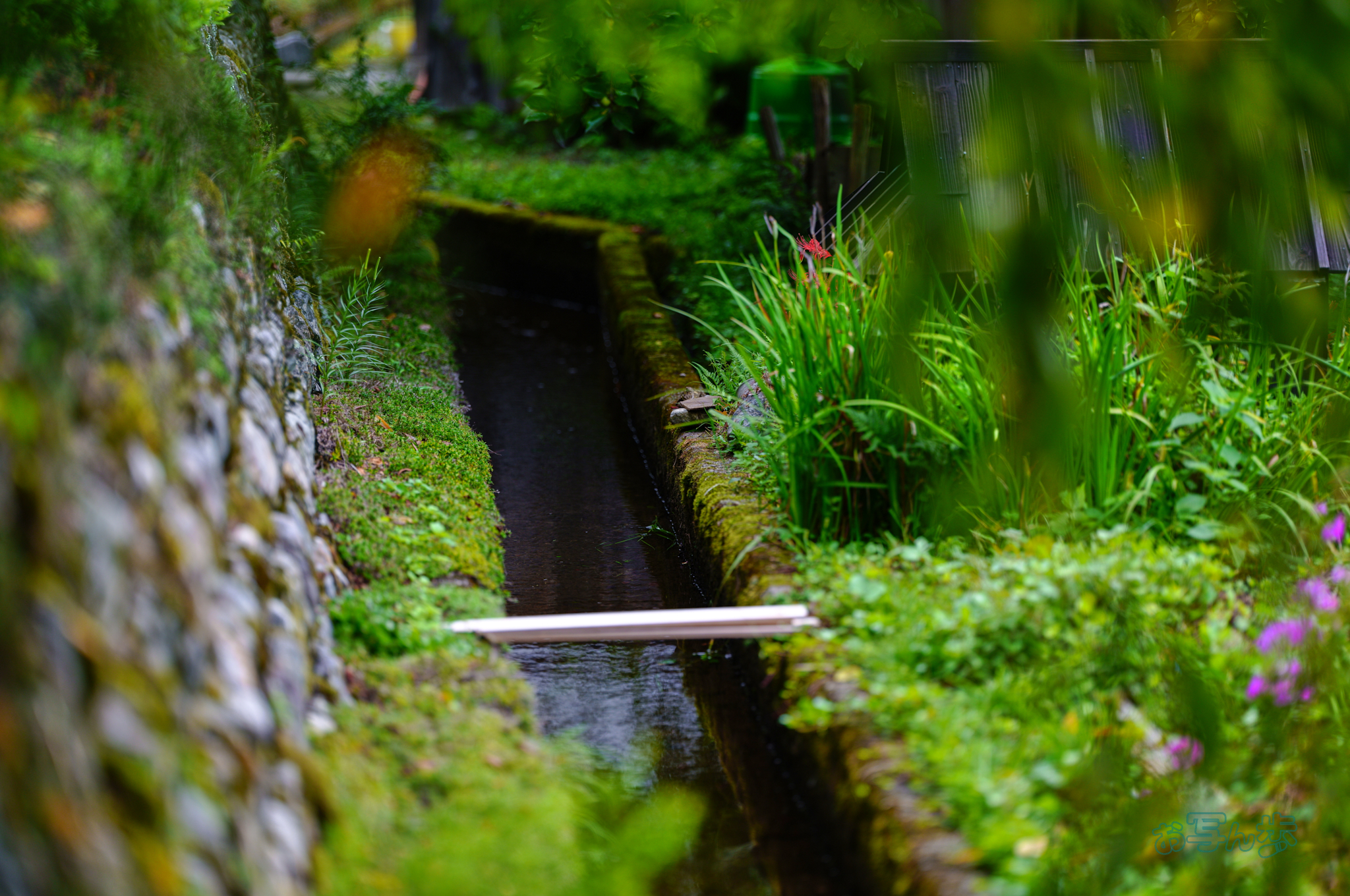 https://www.yaotomi.co.jp/blog/walk/SDIM2919co%2C135%20mm%2CF1.4%2Ciso100%28JPEG%29.jpg
