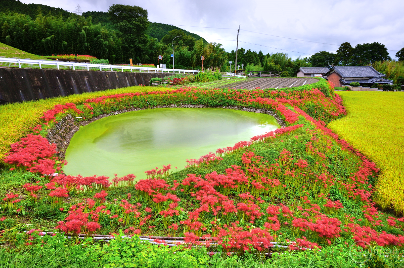 https://www.yaotomi.co.jp/blog/walk/SDIM2925%2C24%20mm%2CF8%2Ciso800JPEG.jpg