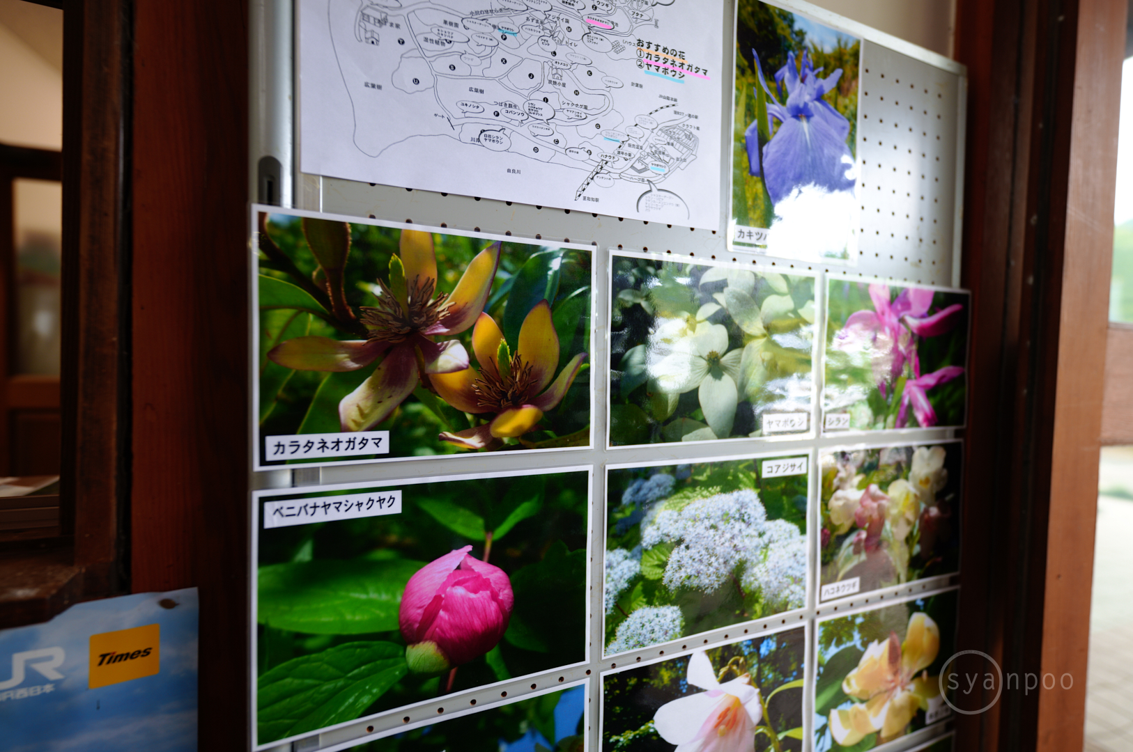 https://www.yaotomi.co.jp/blog/walk/SDIM2934%2C14%20mm%2CF1.4%2Ciso100%28JPEG%29.jpg