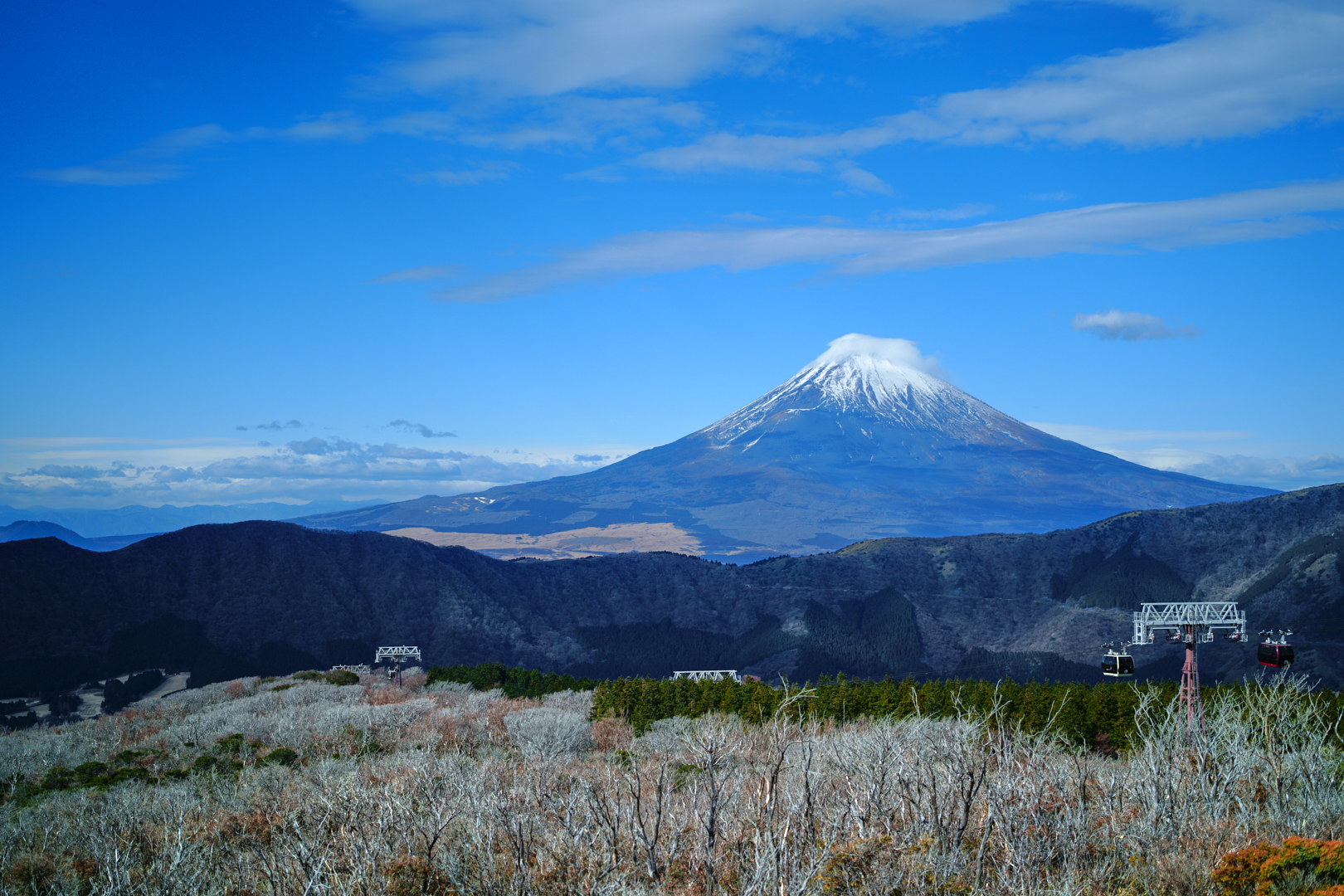 https://www.yaotomi.co.jp/blog/walk/SDIM3012%2C50%20mm%2CF2%2Ciso100%28JPEG%29.jpg