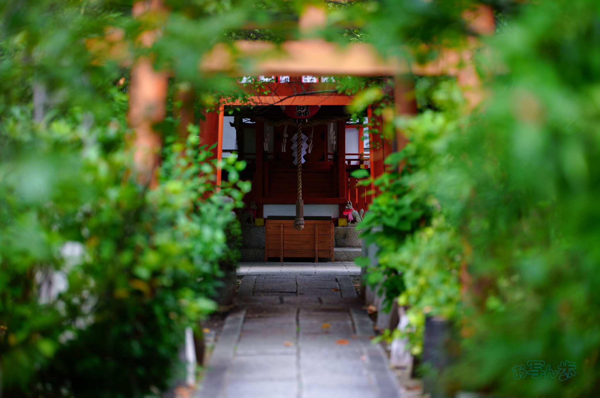 https://www.yaotomi.co.jp/blog/walk/SDIM3049co%2C135%20mm%2CF1.4%2Ciso100%28JPEG%29.jpg